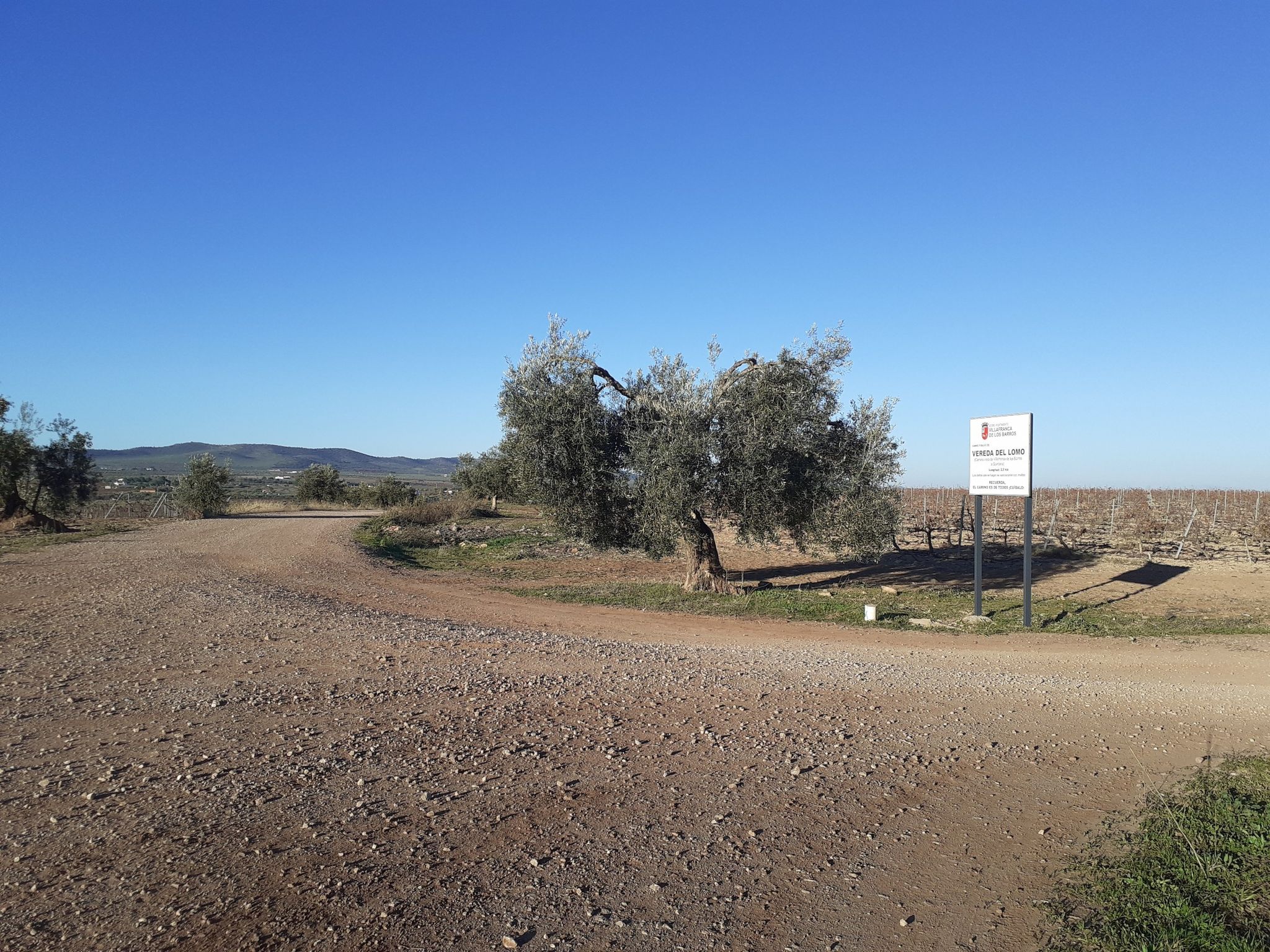 Cruce con la Vereda del Lomo