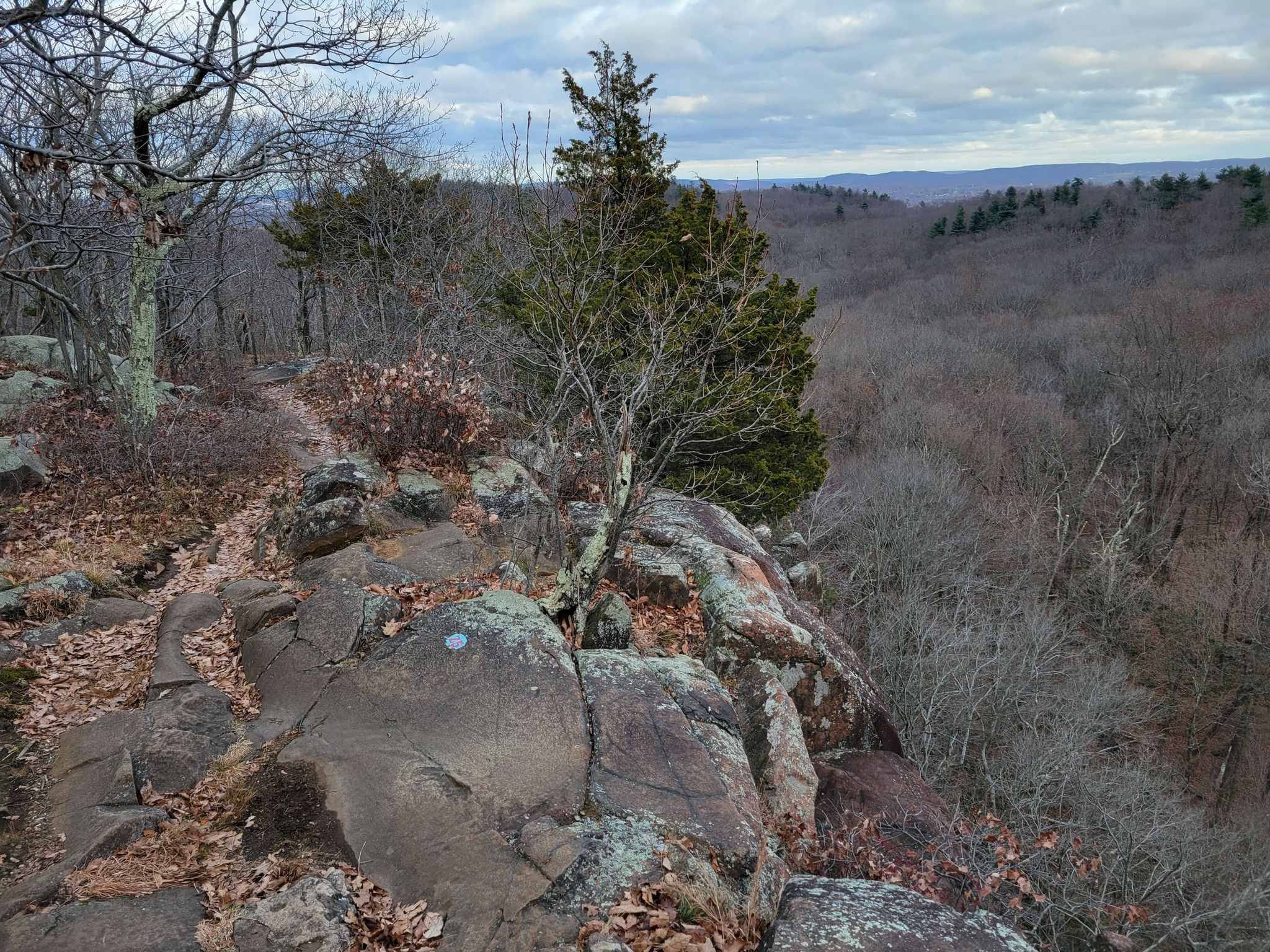 Rocky trail on a cliff edge overlooking a vast, bare forest under cloudy skies. - Sleeping Giant Blue and Tower Trail Loop