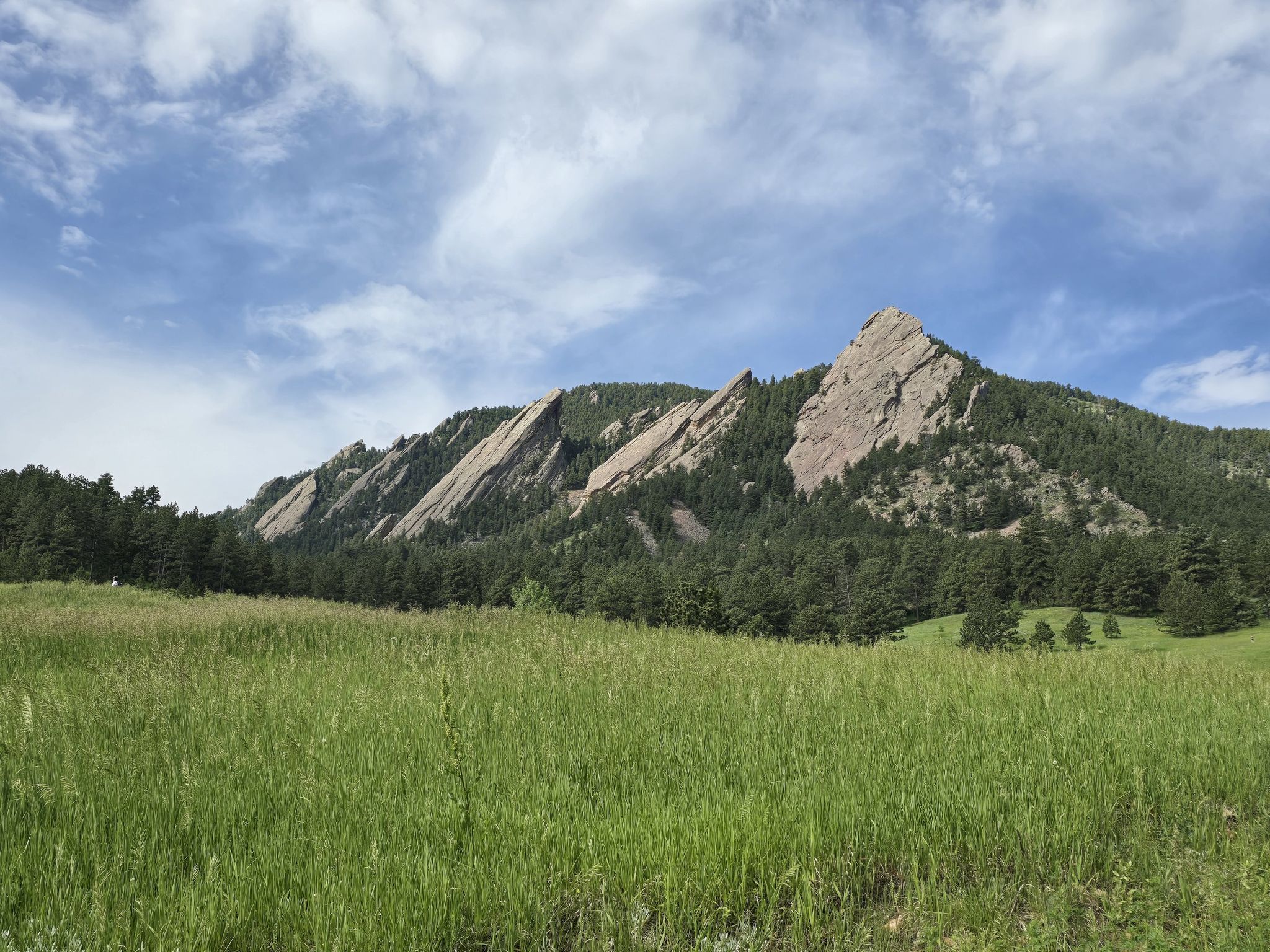 Lush green meadow with prominent slanted rock formations and pine trees. - Meadow Trail and Amphitheater Trail Loop