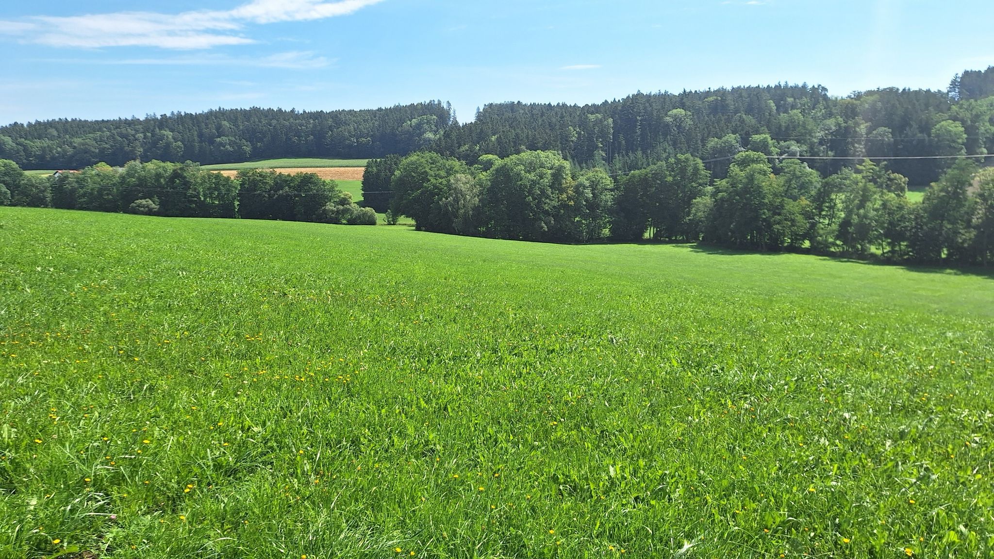 Goldach Tal