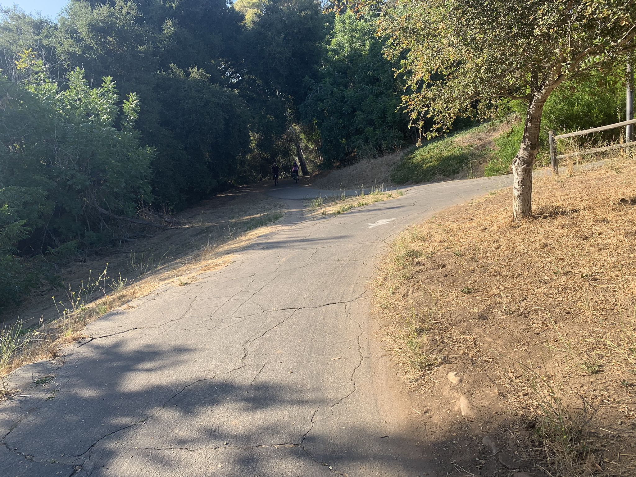A cracked paved path curves uphill through dry grass and trees. - Maria Ygnacio Bike Route – Modoc Multi Use Trail loop from Goleta