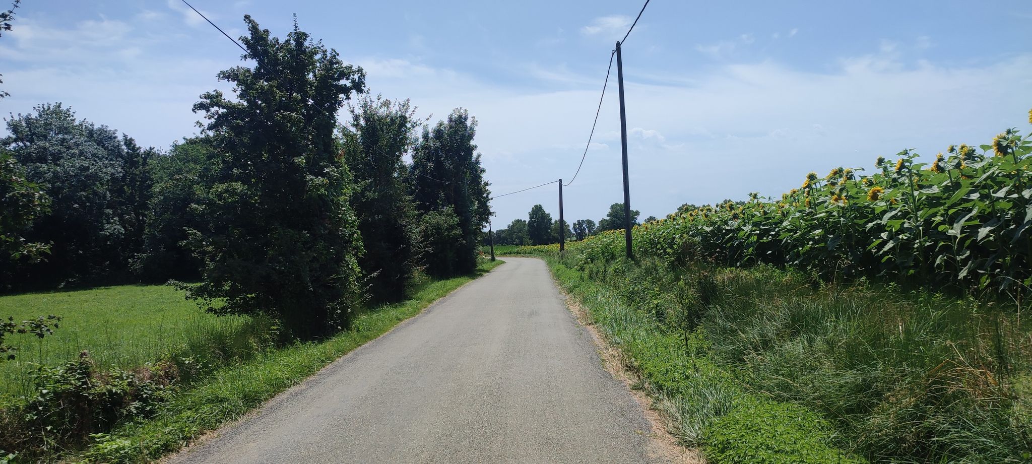 D726, kleine Straße, Hügellandschaft Lauragais