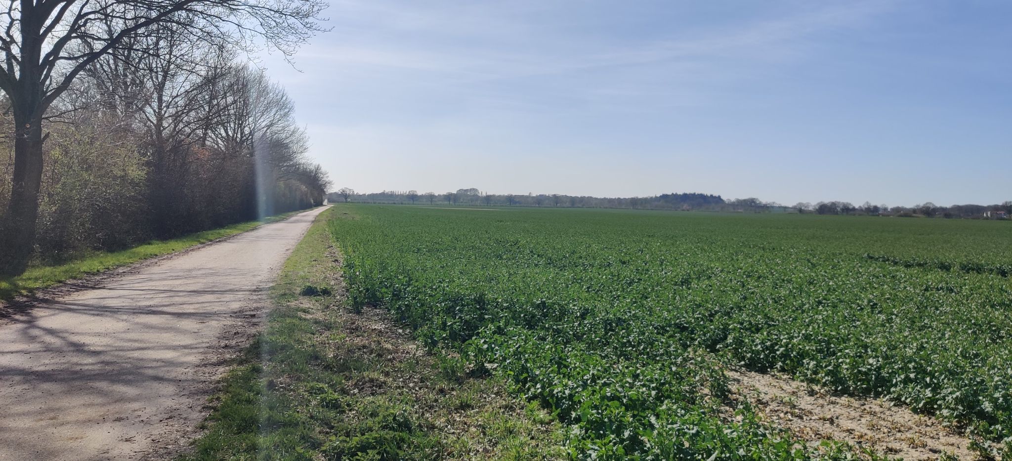 einfach fahren 😎😁
