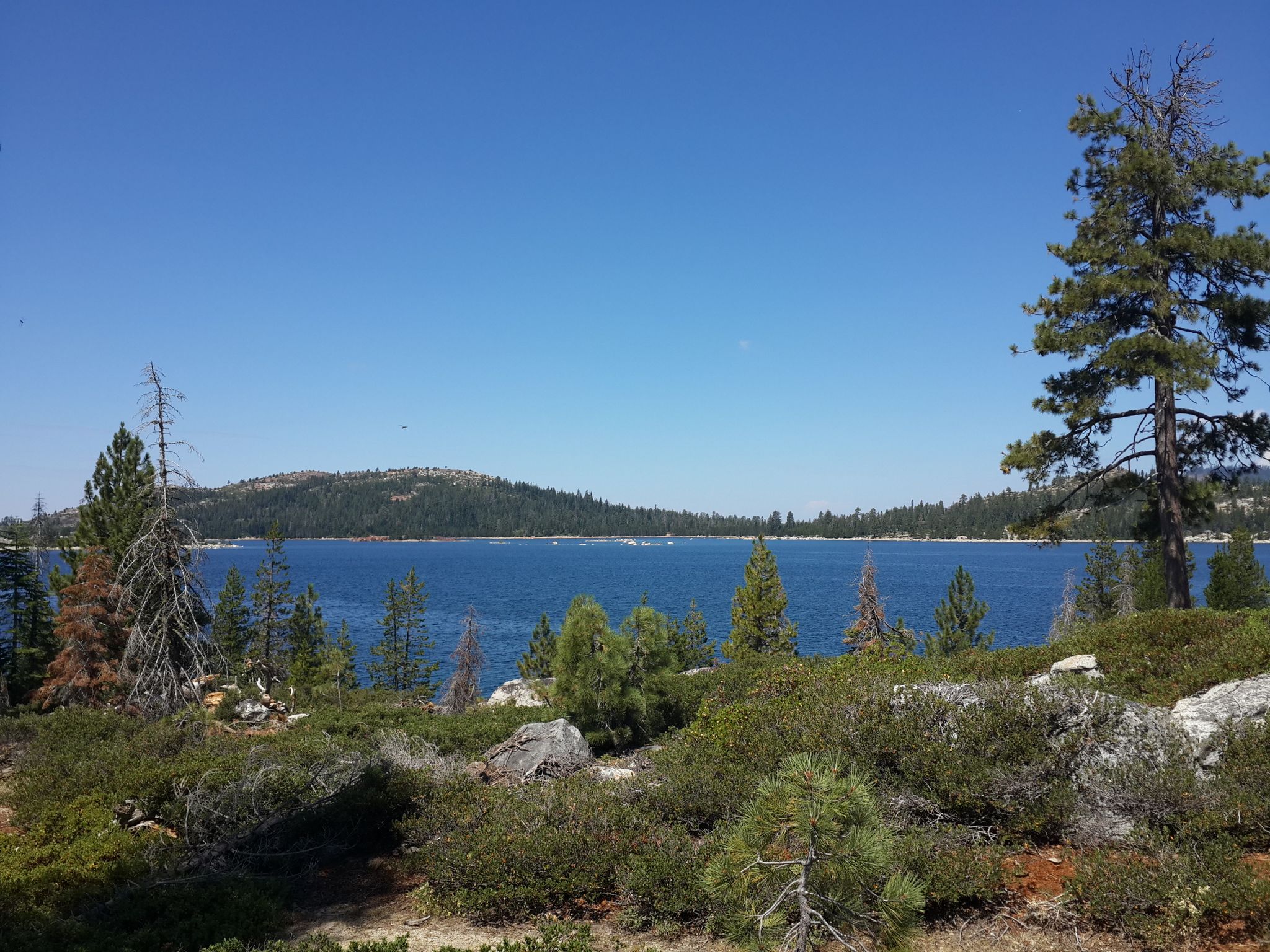 Wide view of a large blue lake surrounded by forested hills. - Loon Lake via Rubicon Trail
