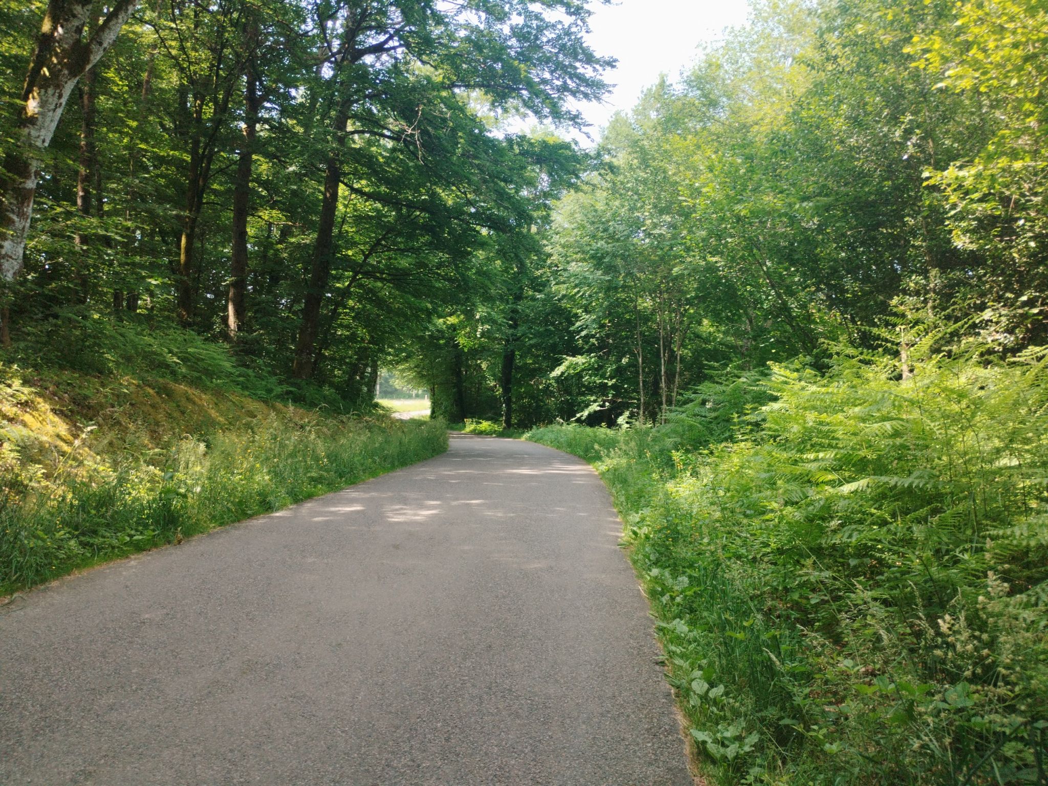 D33 nach Parlan
