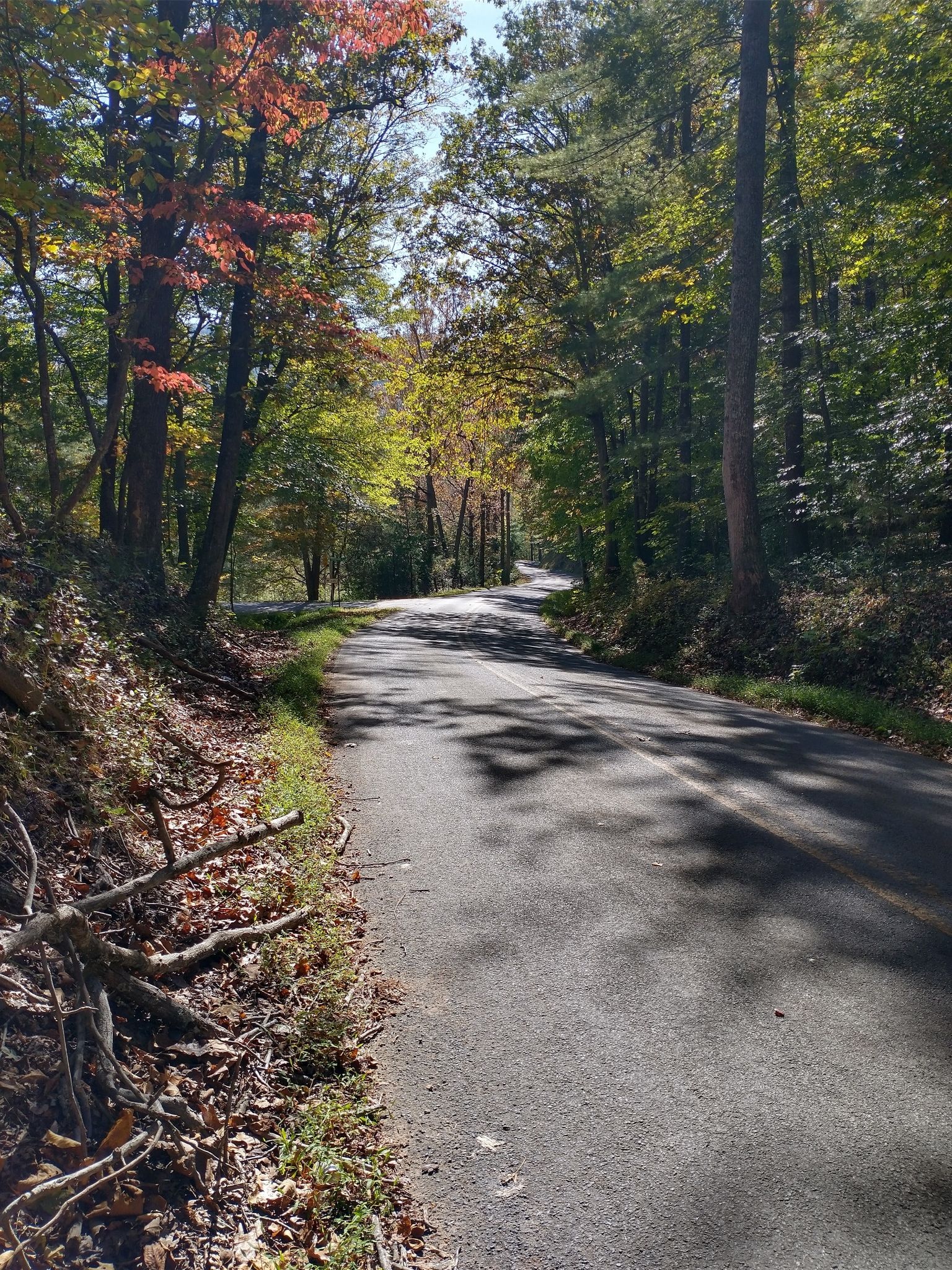 Winding paved road through sunlit autumn forest, dappled with shadows. - Bandy Road loop