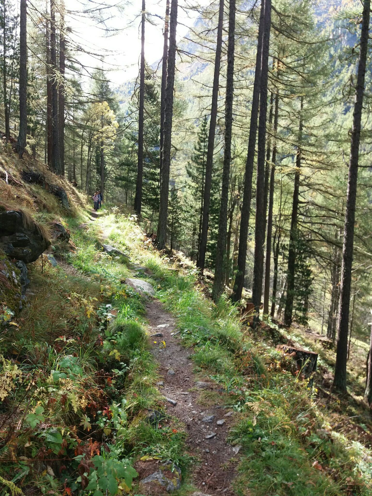 Suonenweg