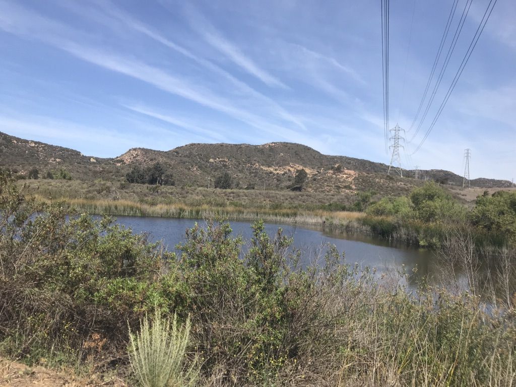 A lake with green reeds, hills, and power lines under a blue sky. - Barbara's Lake Loop Trail
