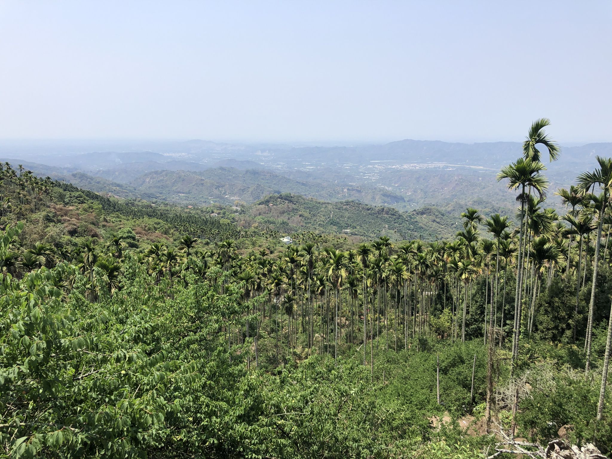 View