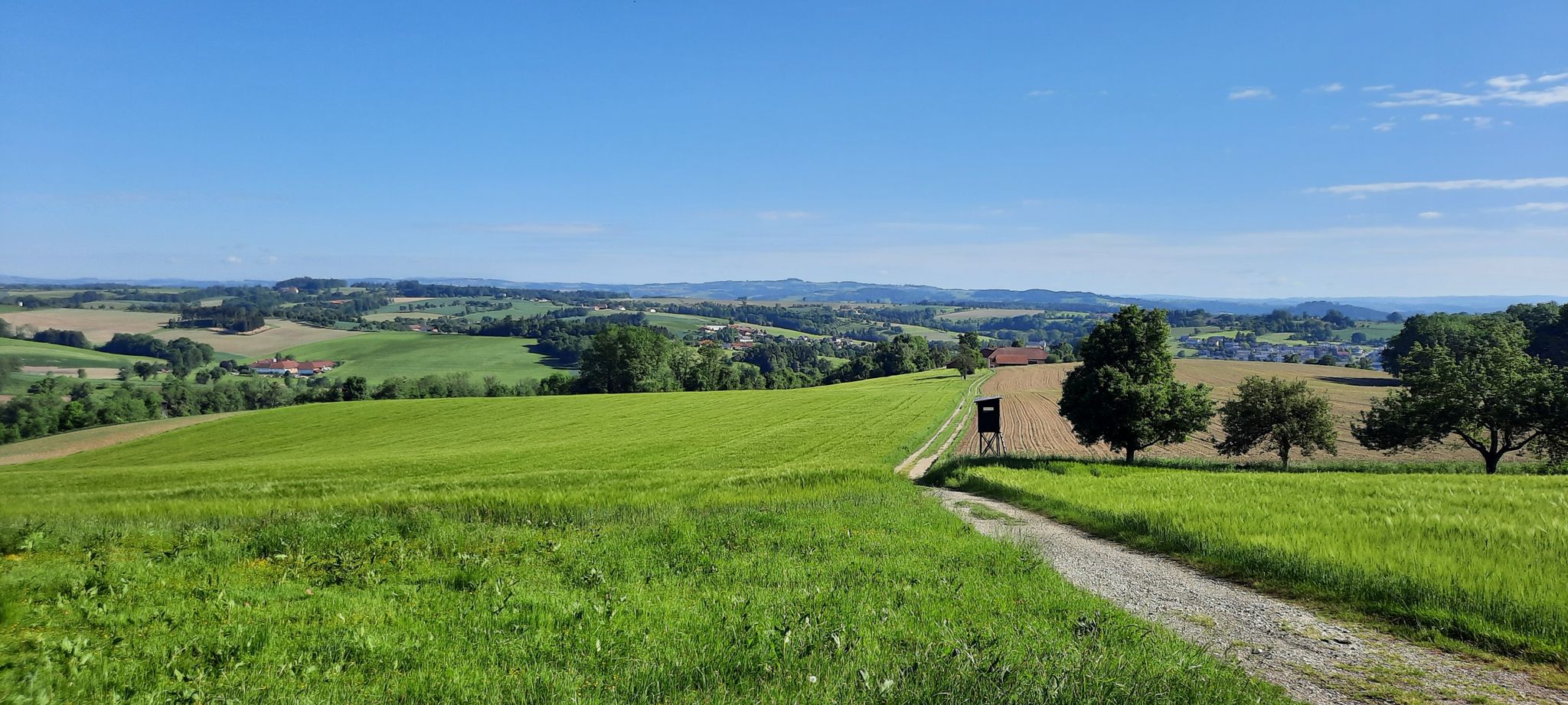 Ausblick mit Bankerl