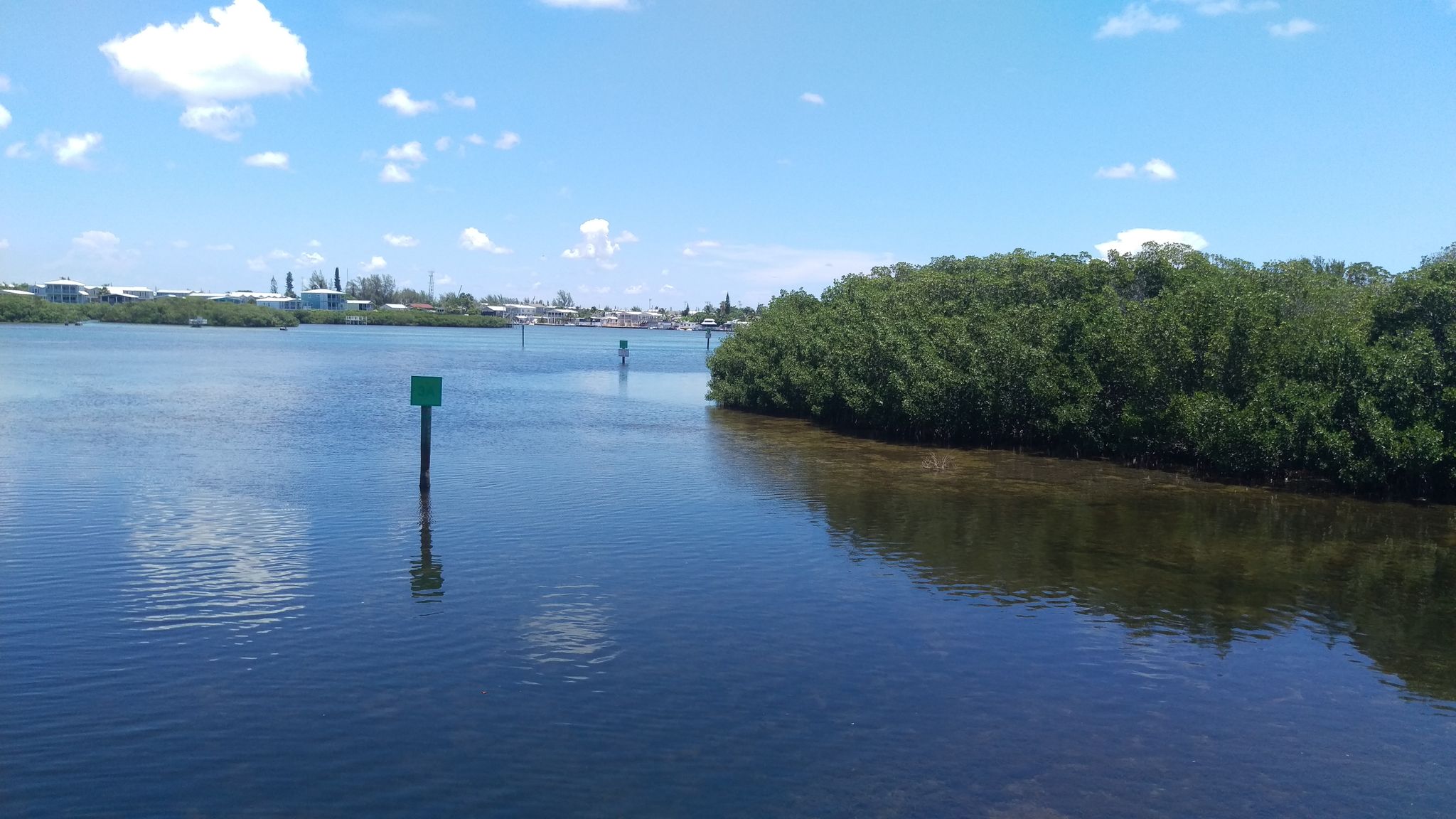 Wide river with green marker, lush trees, and distant buildings under blue sky. - Key West Cycling Loop