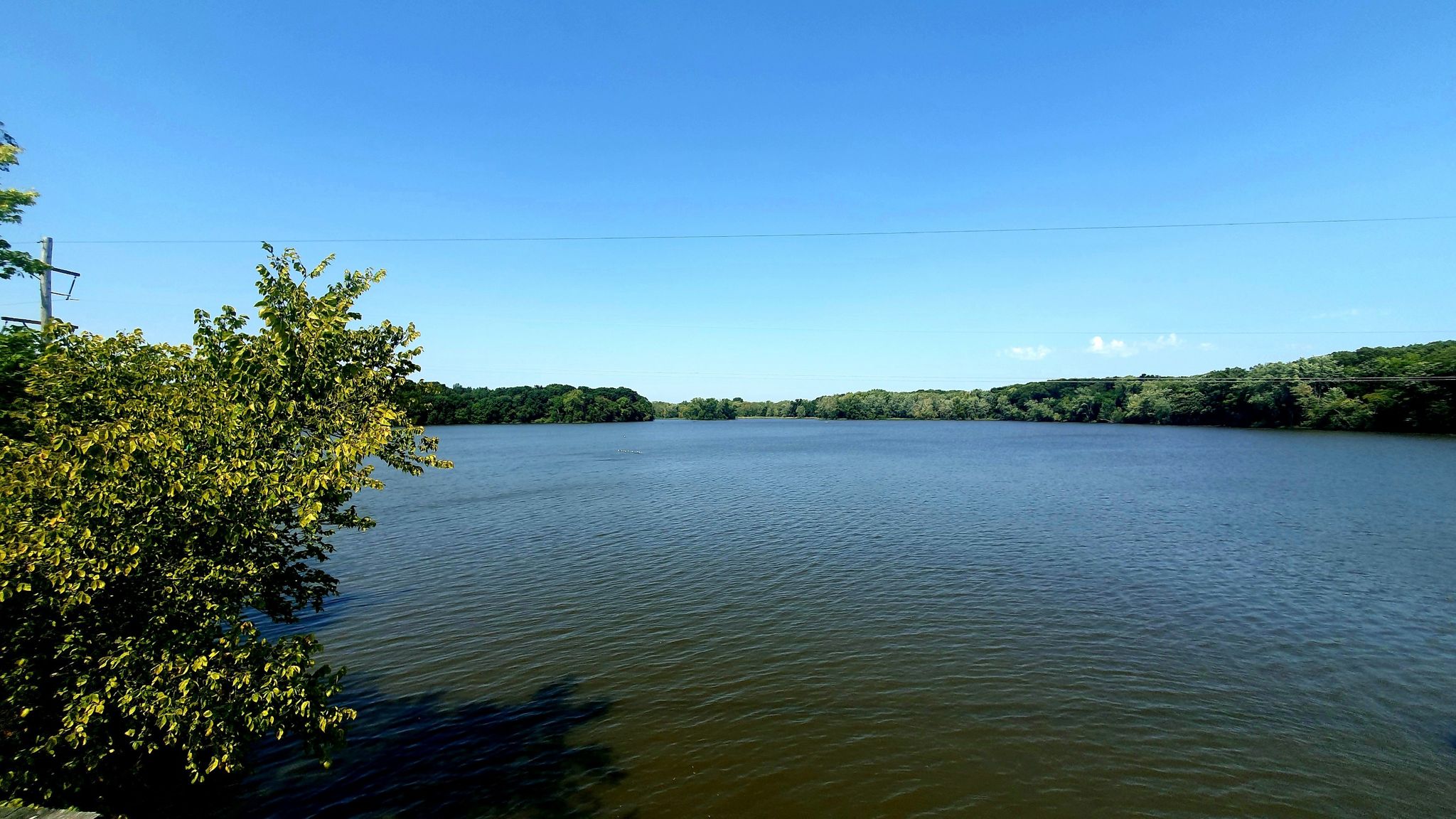 Wide lake under a clear blue sky, surrounded by green trees. - Lake Springfield Bridge – Wabash Trail loop from Tent Parking