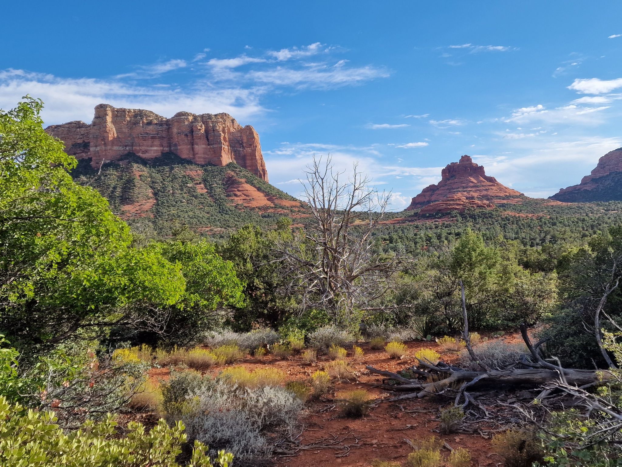 Sunny desert landscape with red rock formations, green trees, and blue sky. - Little Horse, Llama, and Bell Rock Pathway Loop