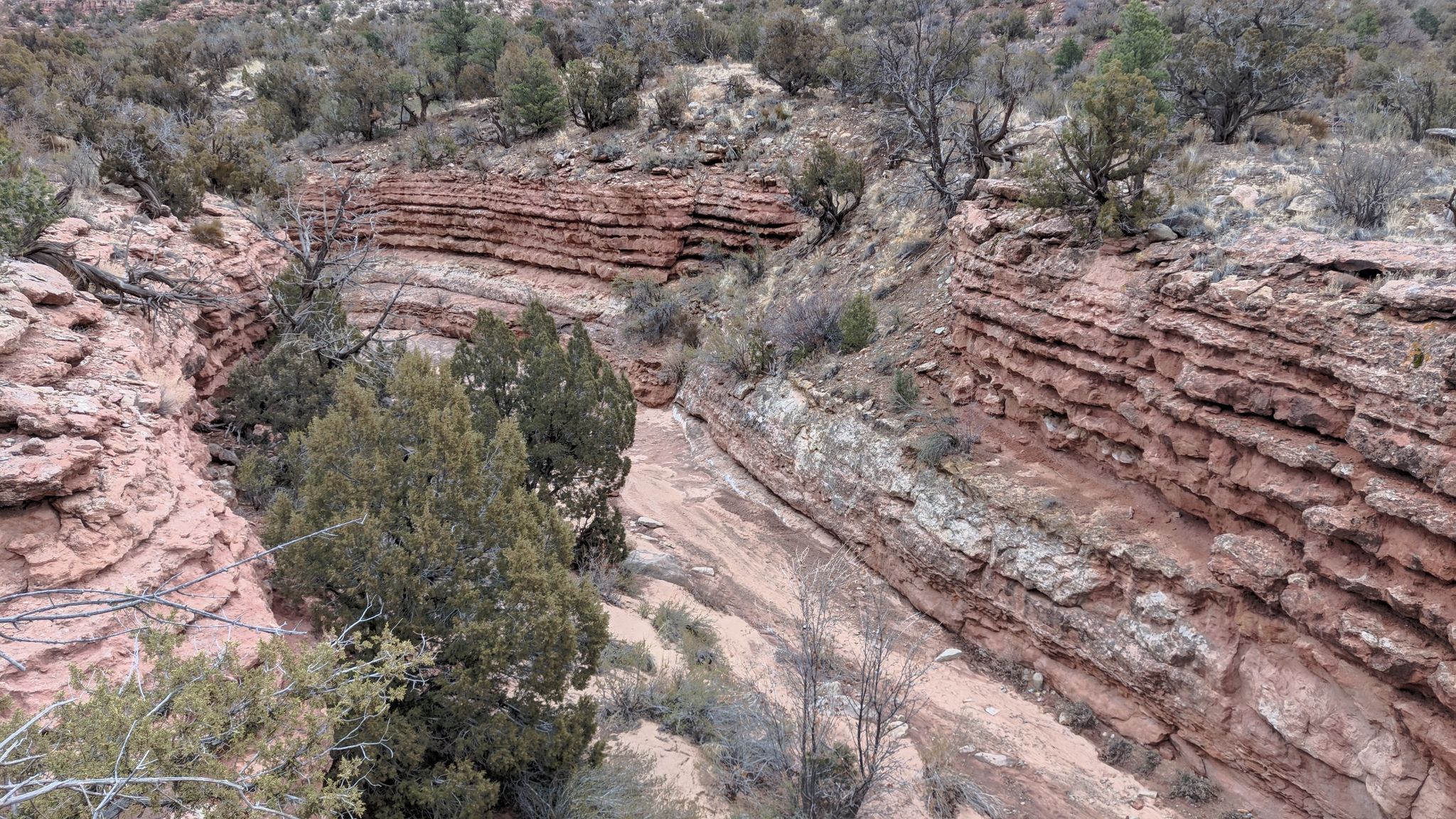 Narrow, winding canyon with layered red rock walls and green trees under cloudy sky. - Rock Creek and East Rock Creek Trail Loop