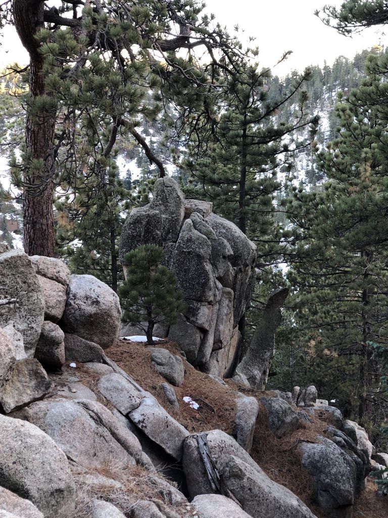 Large rock formations and pine trees in a rocky, forested landscape. - Waterman Mountain Loop Trail