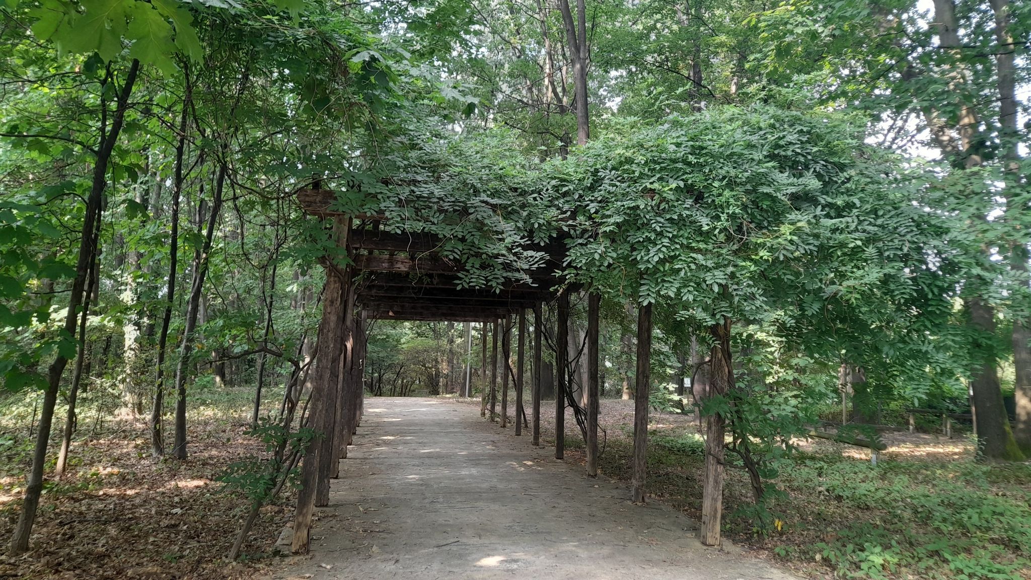 Finalmente ritornati nel parco