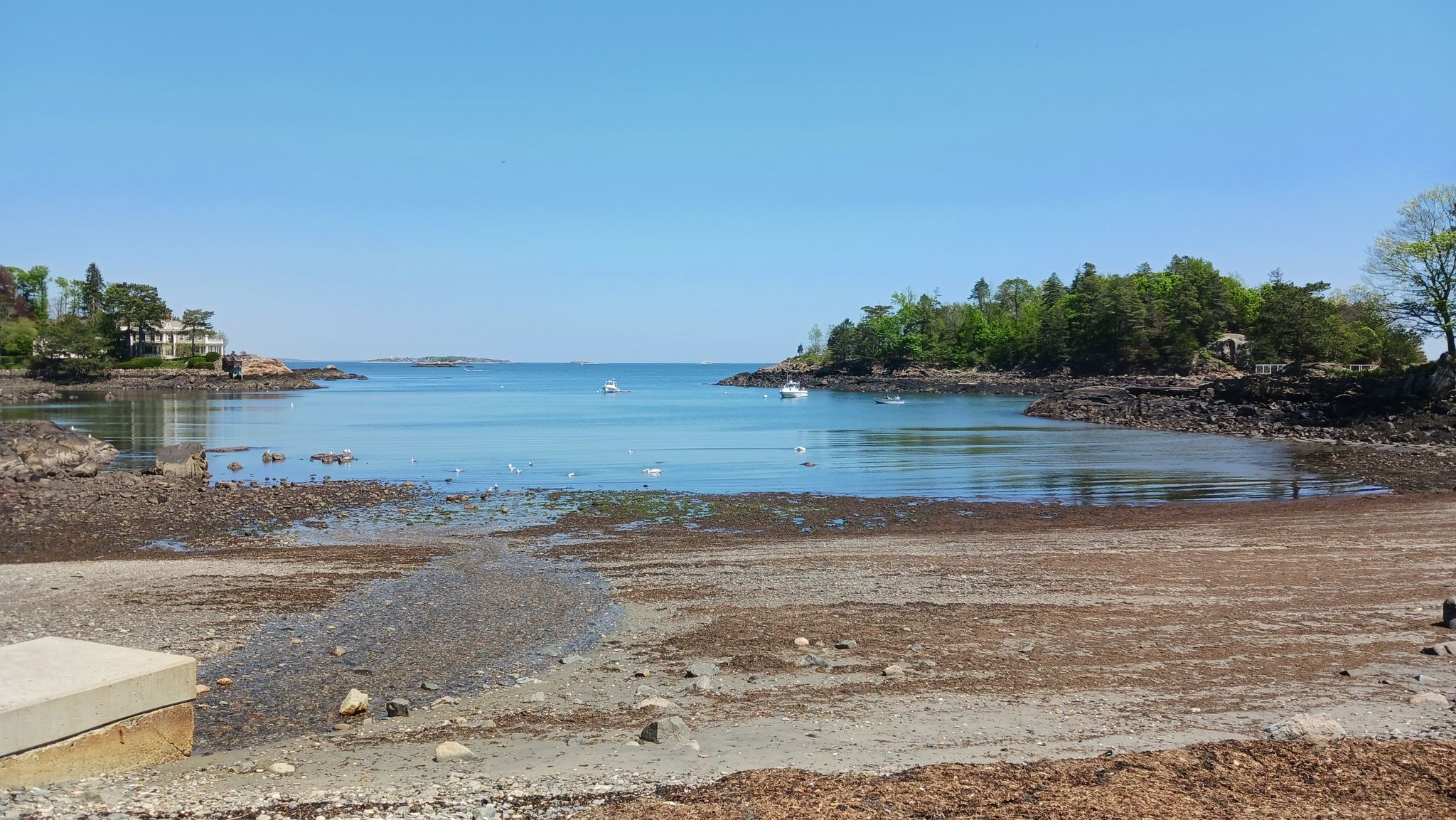Bay at low tide with exposed seabed and forested islands under clear sky. - Coddon Hill – Grace Oliver Beach loop from Marblehead