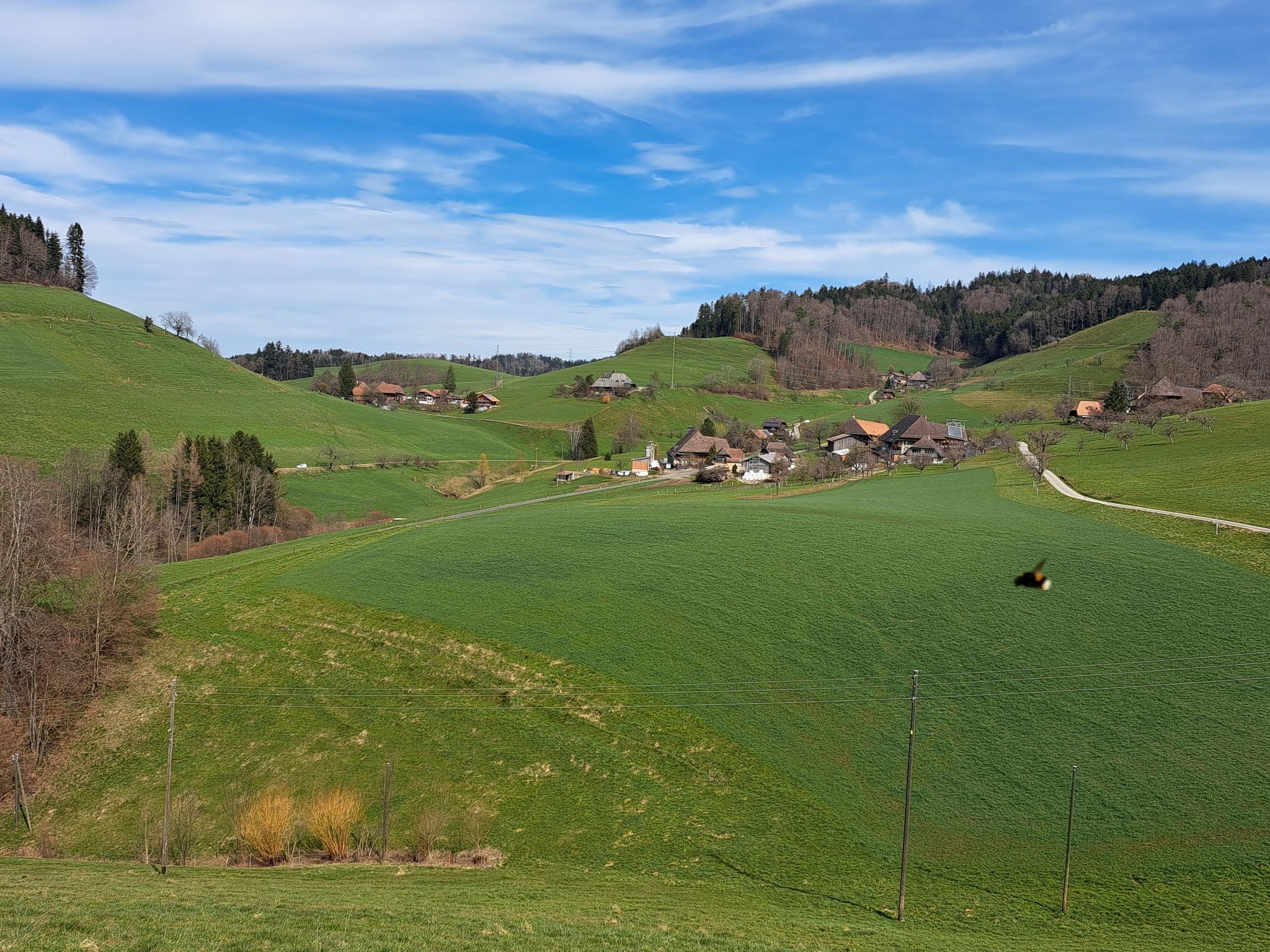 Busswil