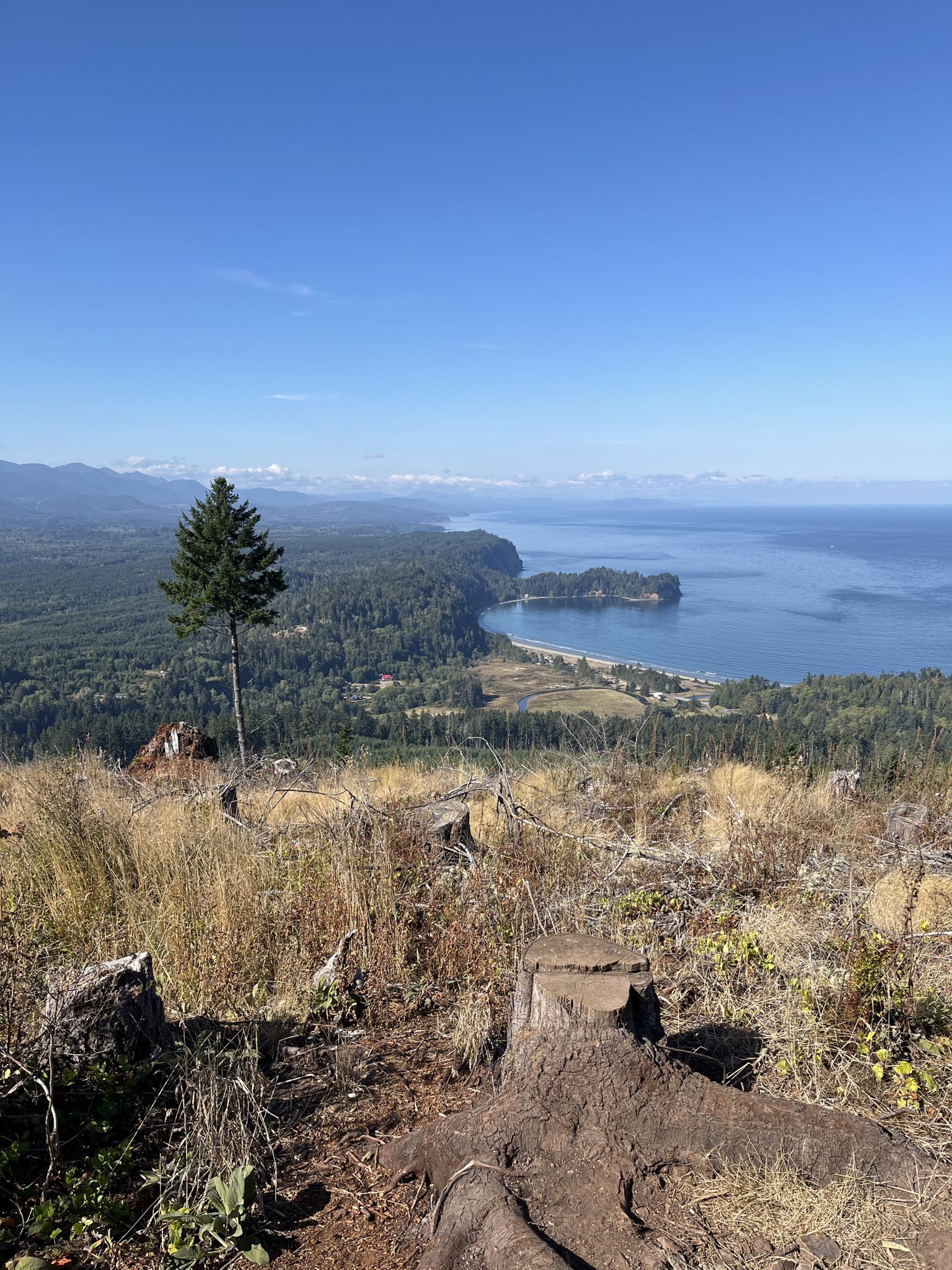 Sunny panoramic view of a bay, forest, and mountains from a clearing. - Tongue Point – Salt Creek Recreation Area loop from Salt Creek