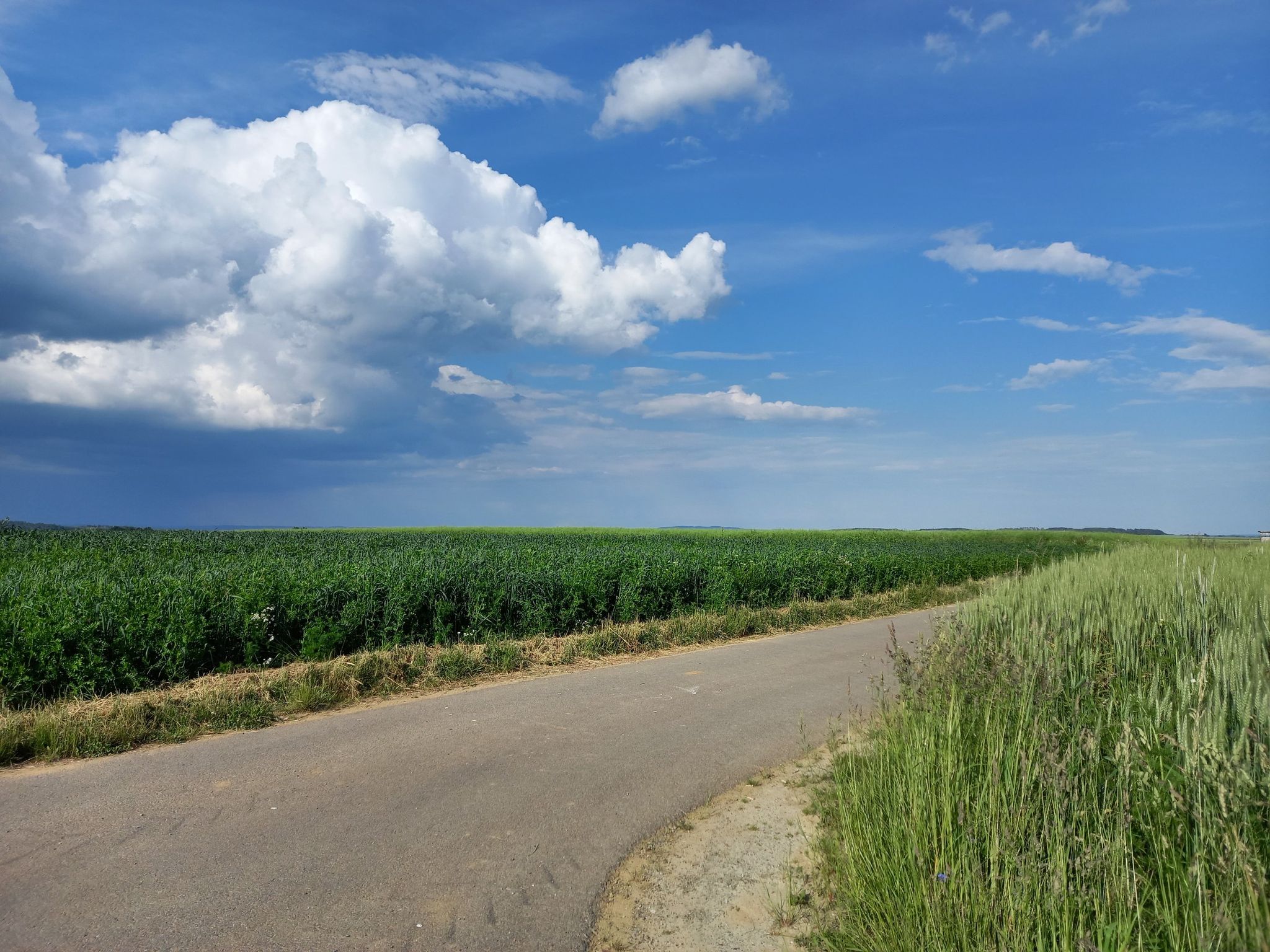Lokal brauen sich Gewitterwolken zusammen.