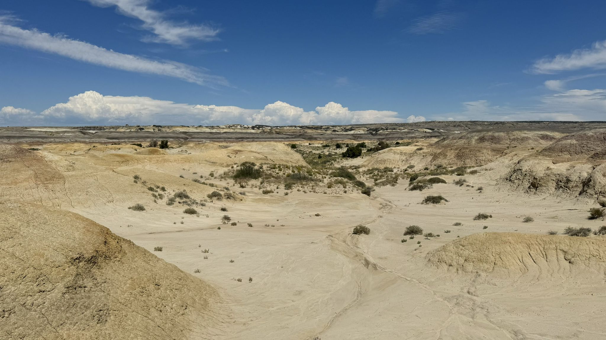 Expansive desert badlands with light-colored hills and distant clouds. - De Na Zin Wilderness Trail