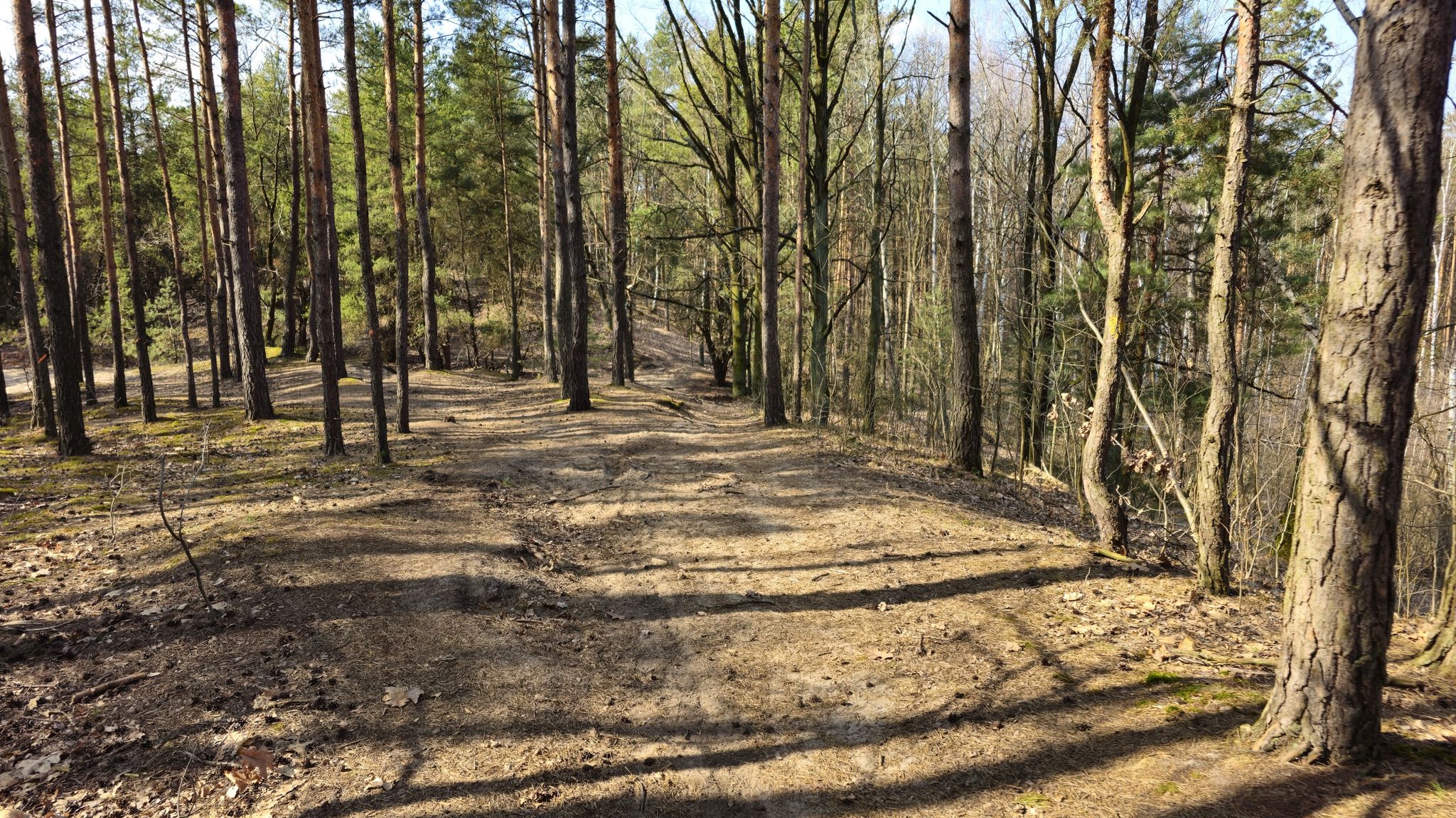 Trail view
