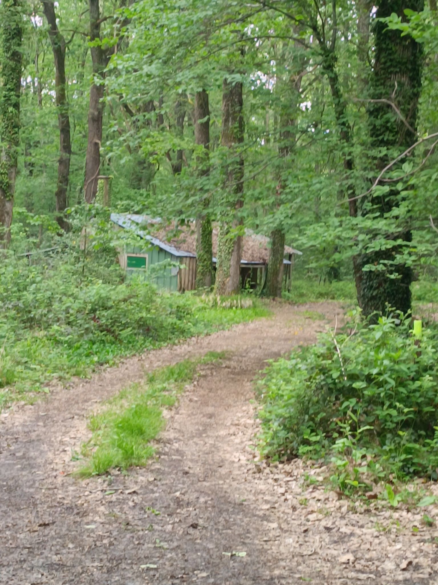 Cabane de chasse 