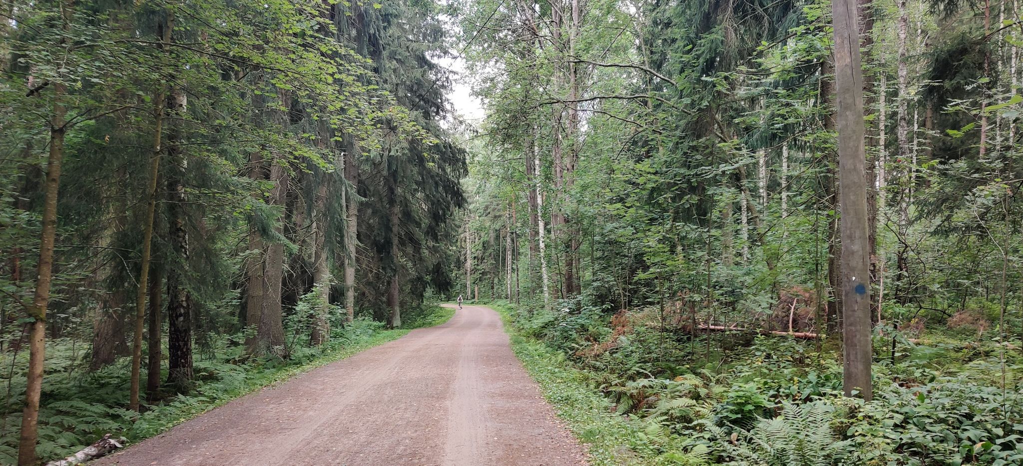 Helsinki Central Park