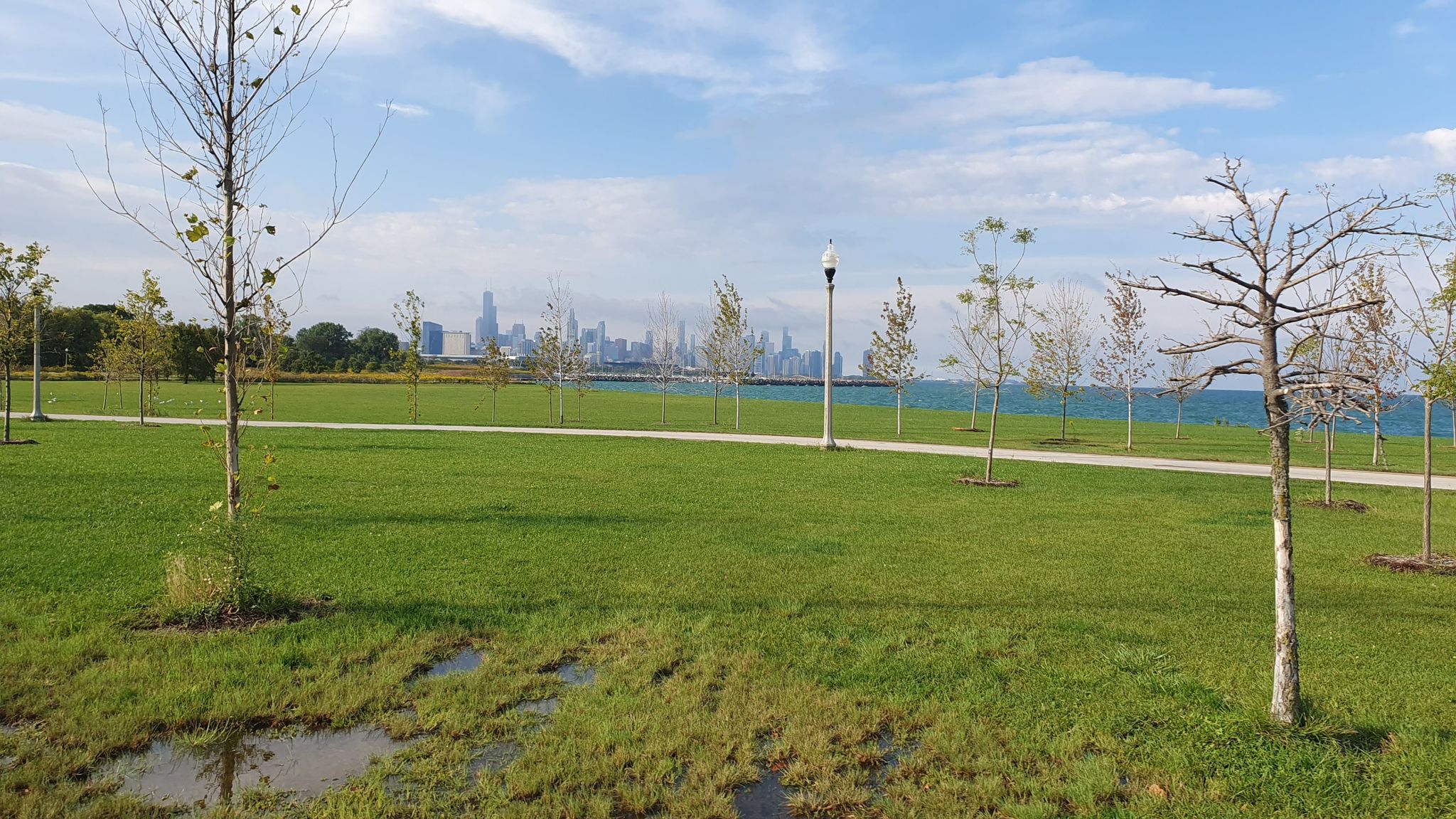 A green park with young trees, distant water, and a city skyline. - Hyde Park – Burnham Wildlife Corridor loop from Cottage Grove