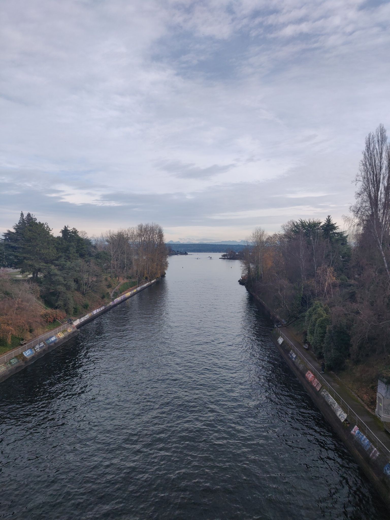 Narrow canal with trees on banks, leading to distant water, cloudy day. - Lake Washington Loop