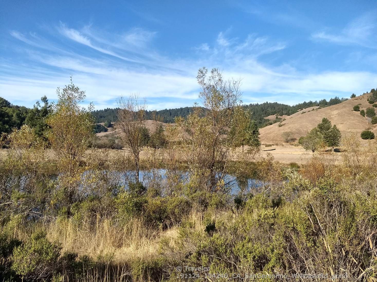 Small pond surrounded by dry hills and scattered trees under a blue sky. - Lucas Valley Loop