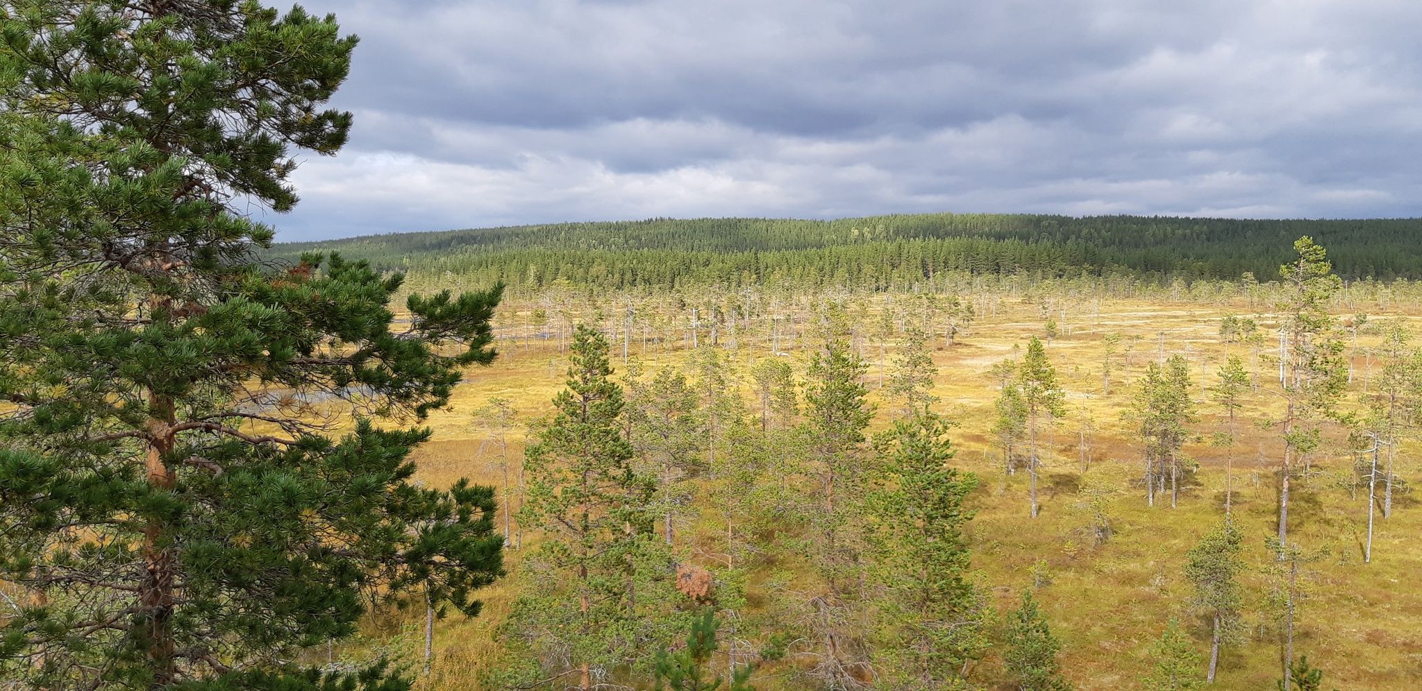 uitzicht vanaf uitzichtstoren