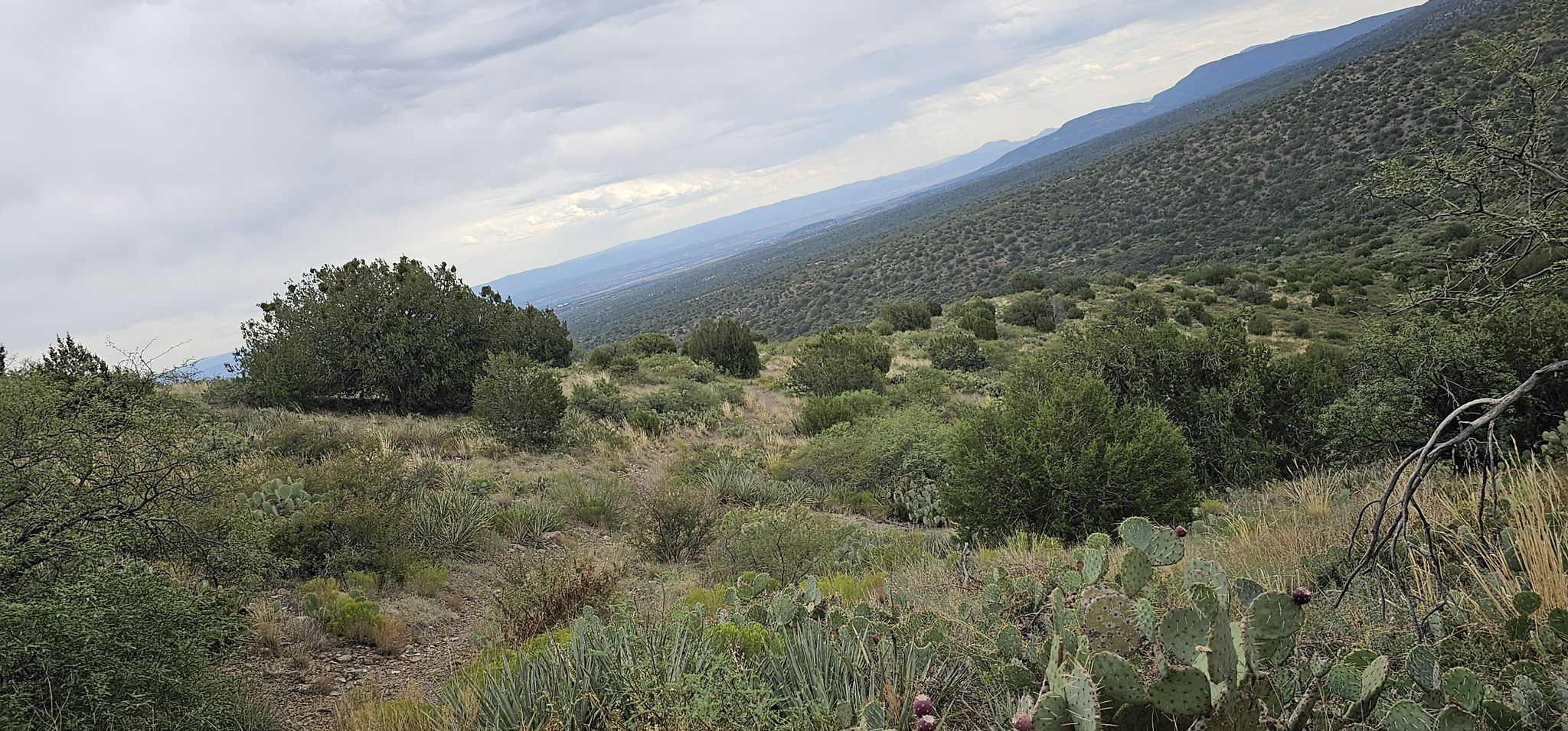 Expansive valley view with green hills, distant mountains, and an overcast sky. - Black Canyon Trail #114