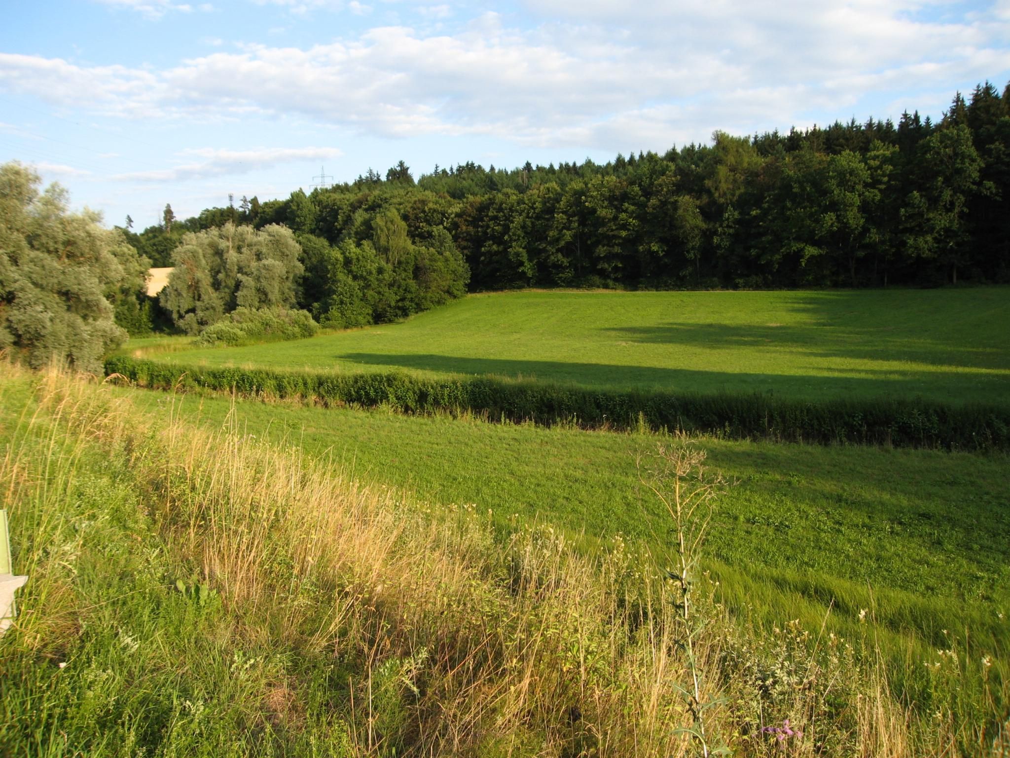 Im malerischen Würmtal bei Mühlhausen