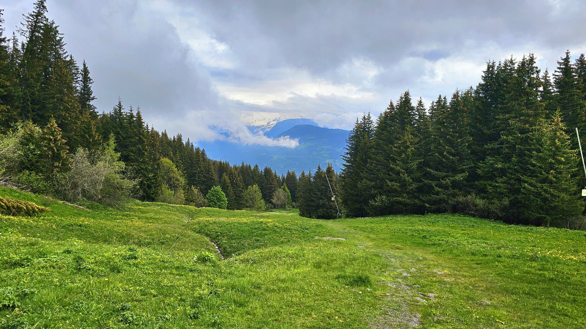 Vor der Bergstation "Mandarines" verlassen wir die Route des Crêtes und folgen ostwärts der Ski-Piste