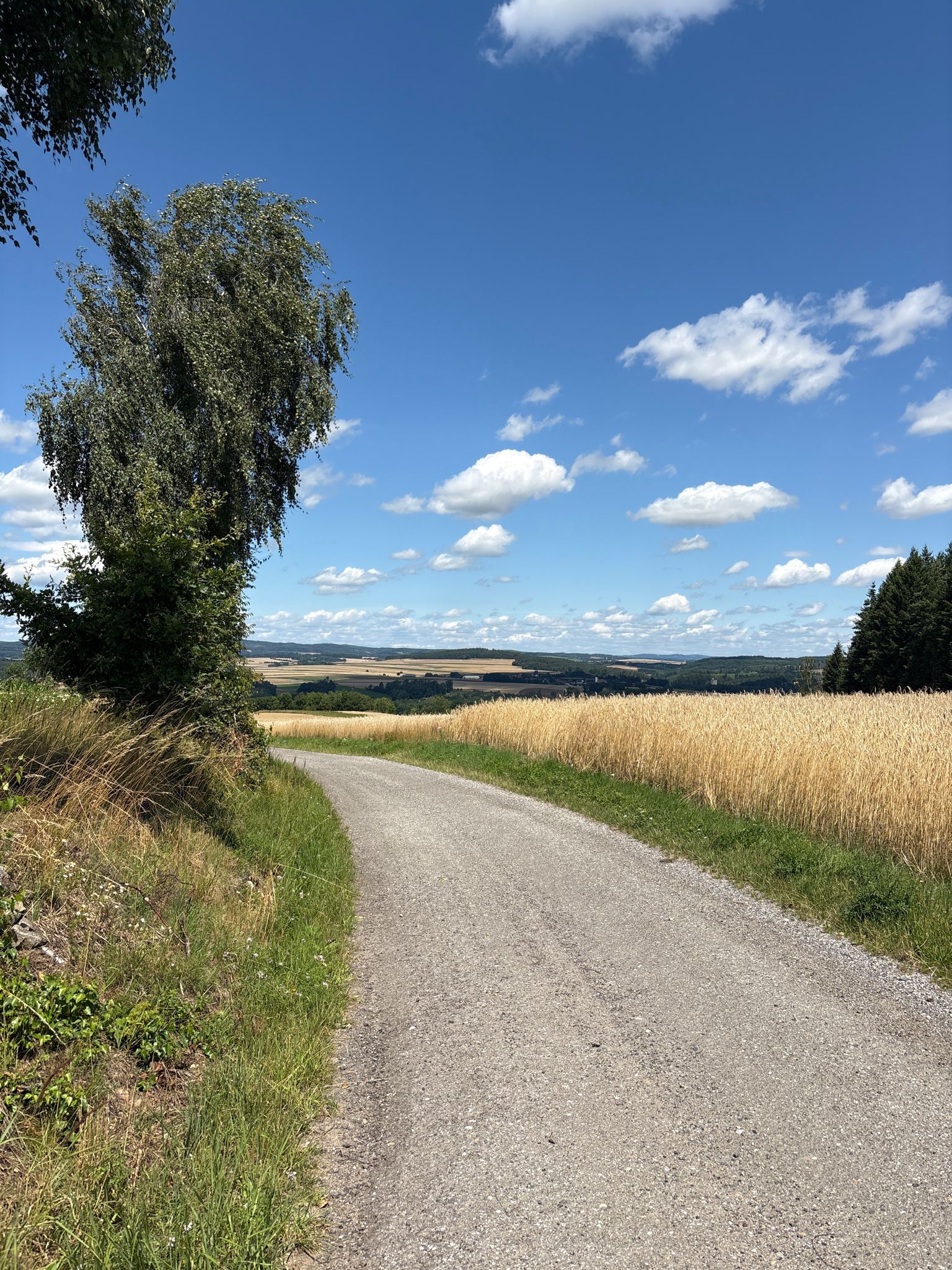 Graveln Richtung Schupertholz