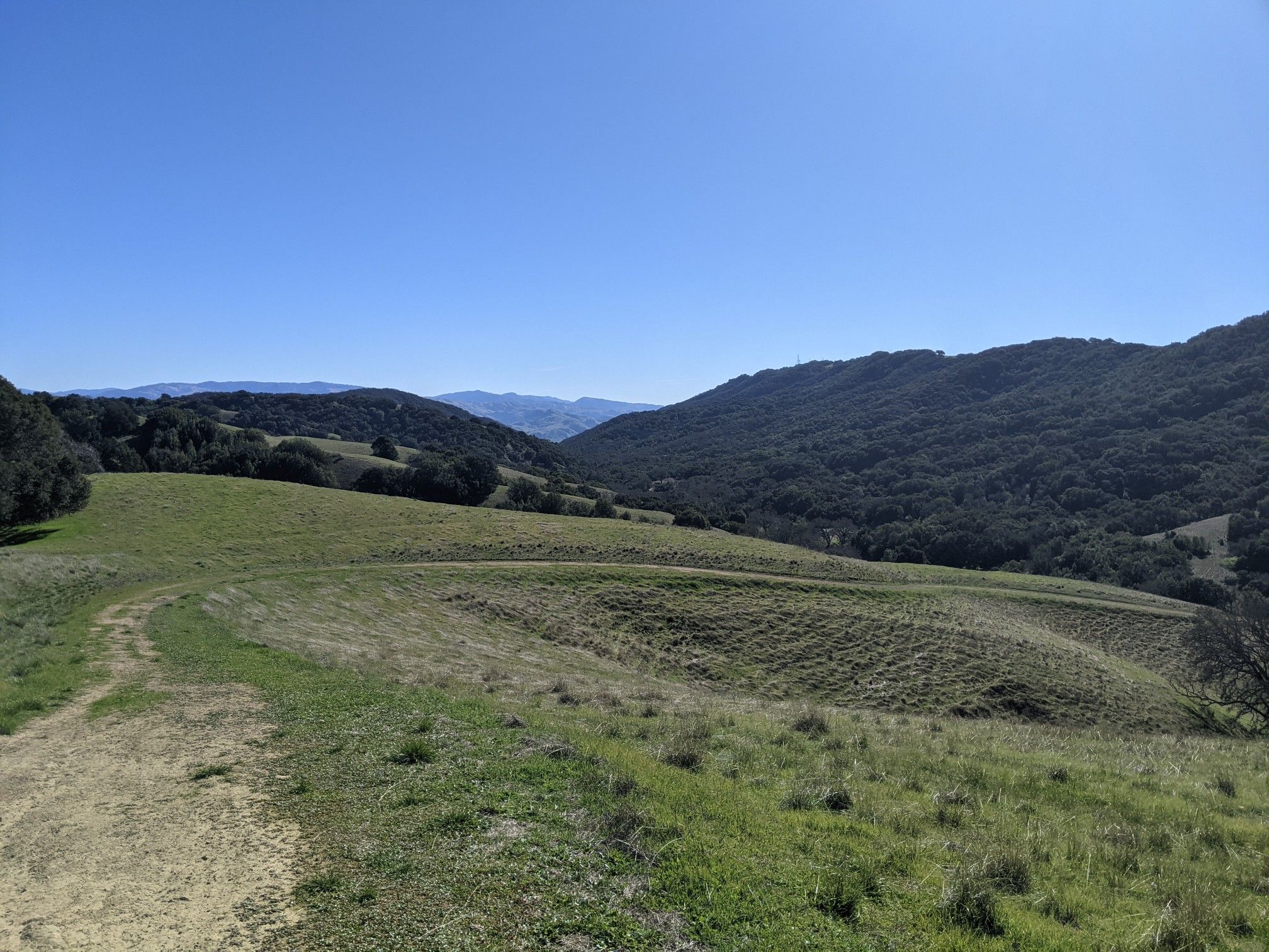A dirt path winds through green rolling hills under a clear blue sky. - Courdet, North Ridge and Sinbad Creek Loop Trail
