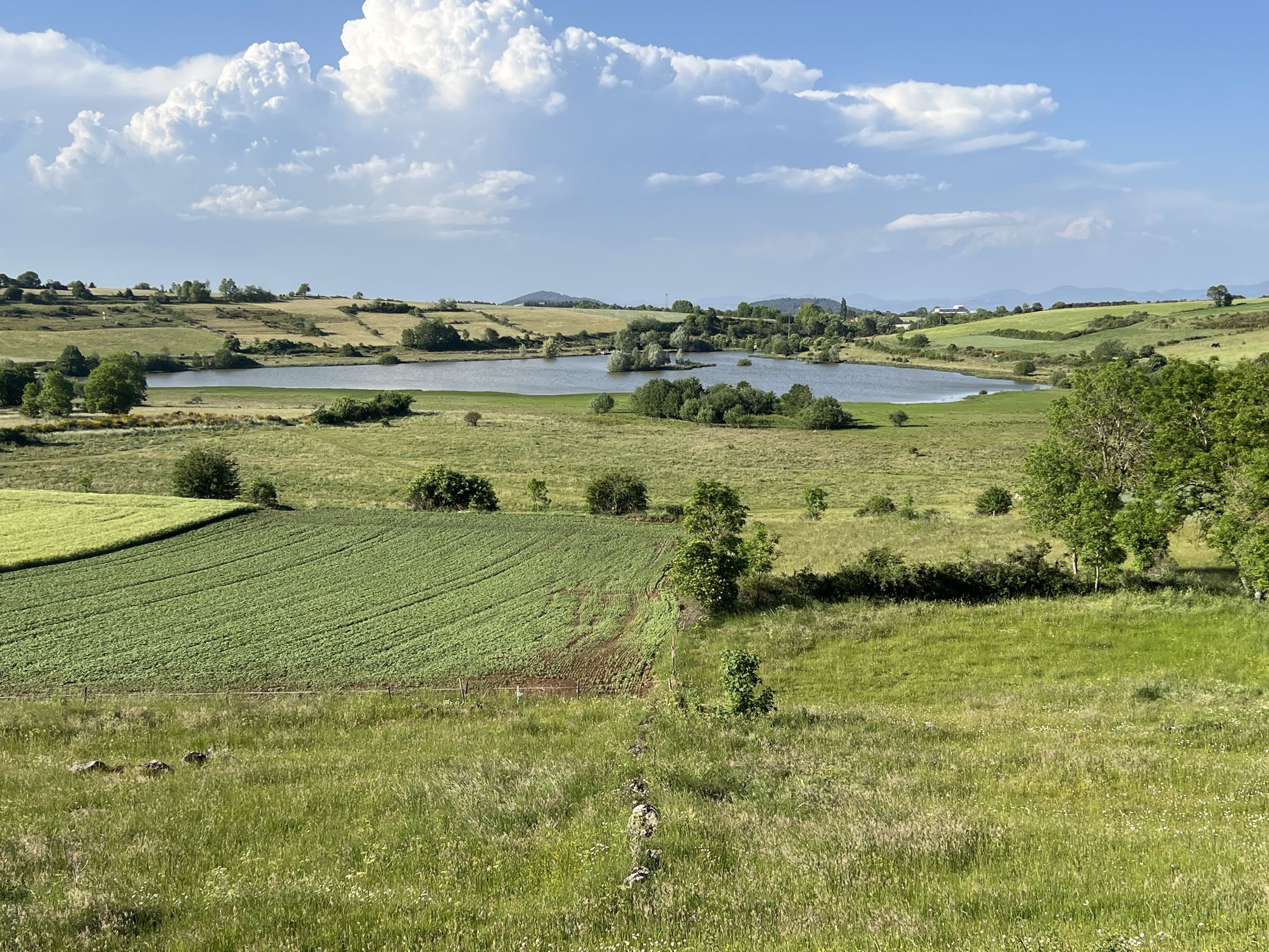 Étang du Prechay