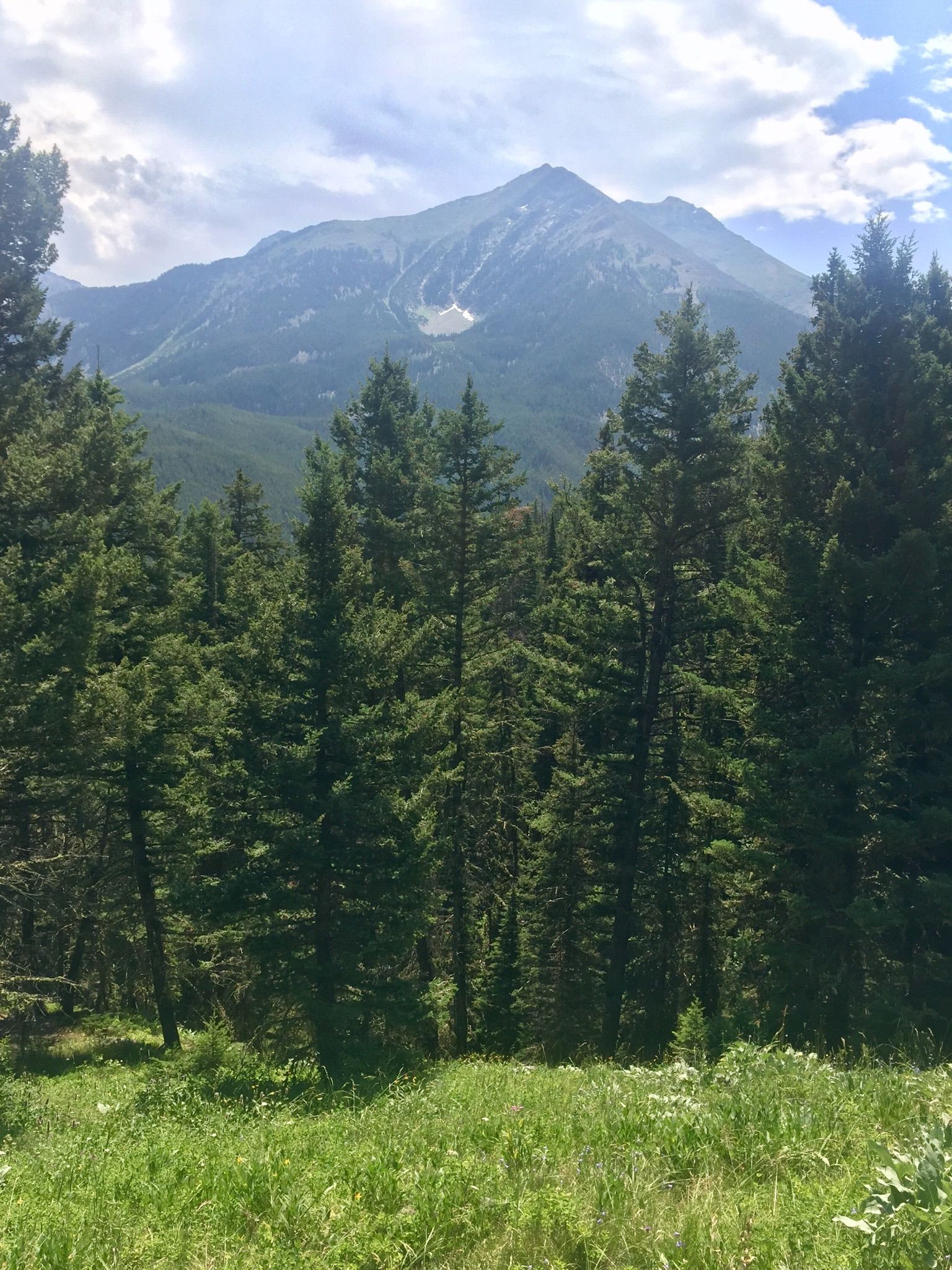 A majestic mountain peak rises above a dense pine forest under a bright sky. - Pioneer Falls via South Fork Spanish Creek Trail