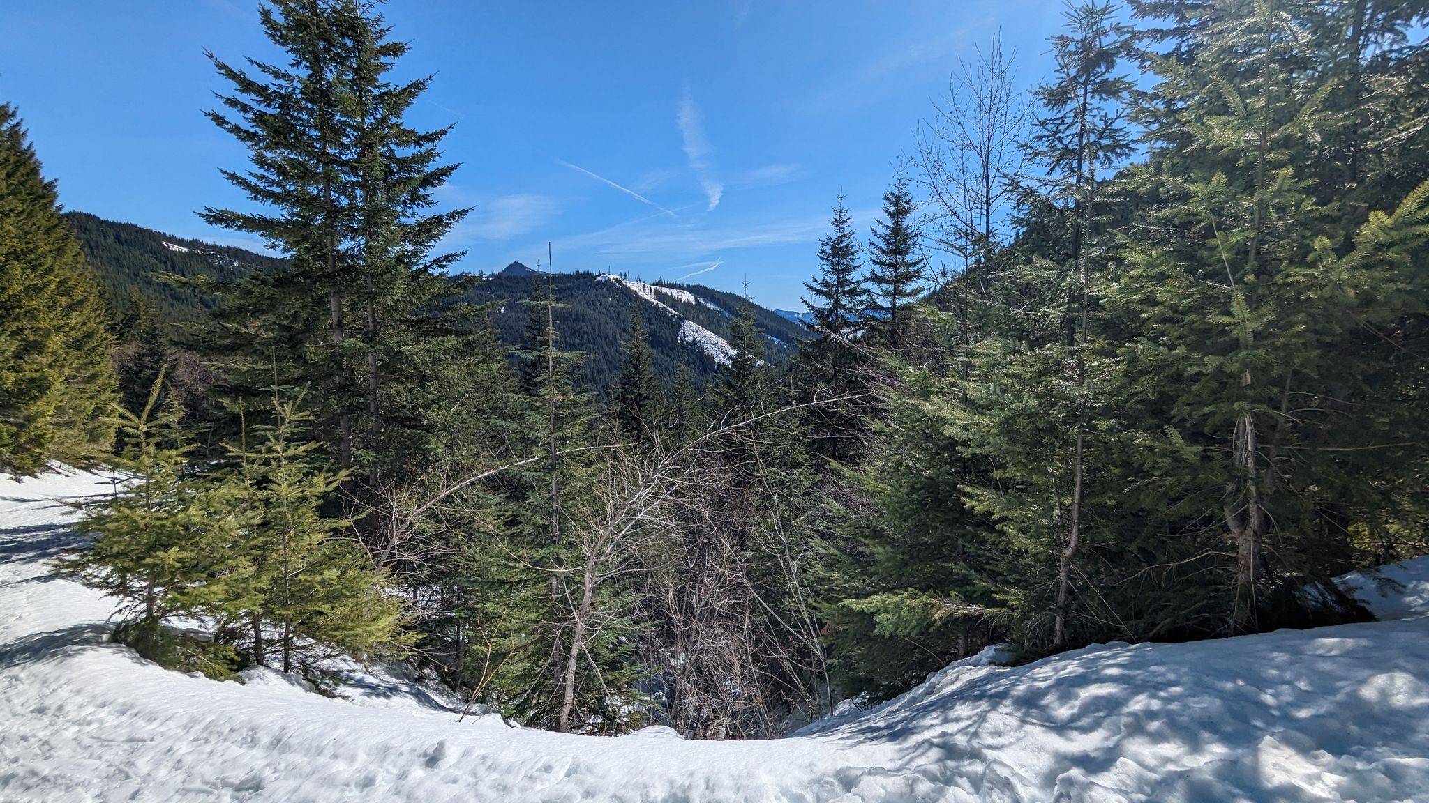 Sunny winter mountain landscape with snow-covered trees and distant peaks. - High Hut Snowshoe Trail