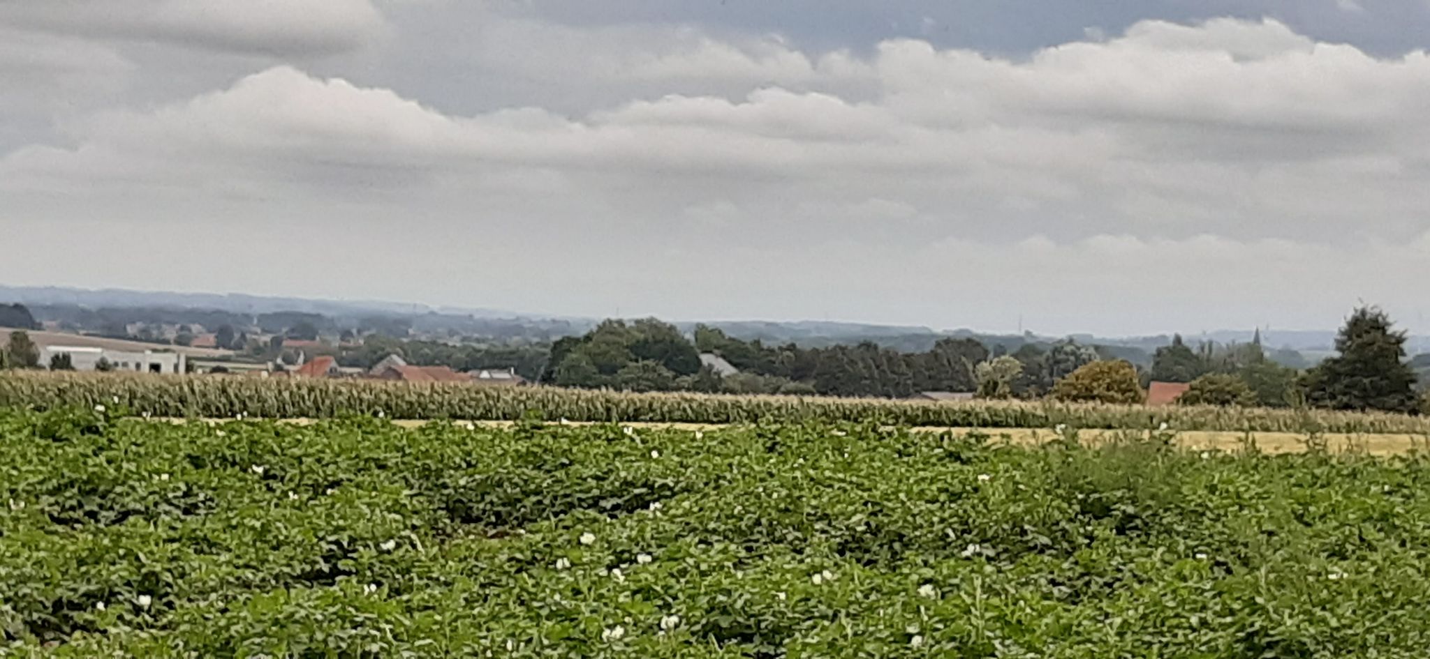 Bellegem