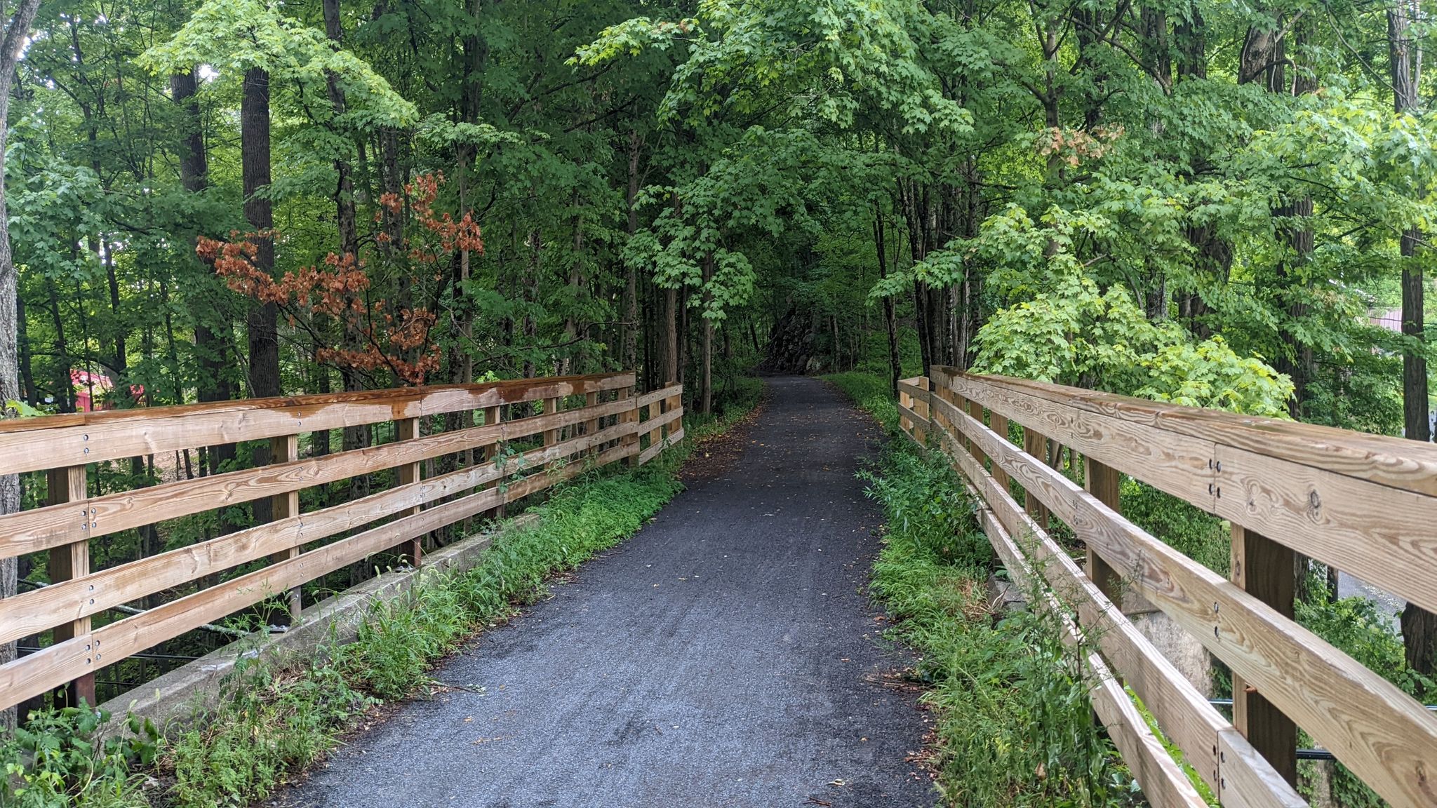 A paved path through a dense green forest, flanked by wooden fences. - Lime Kiln & Table Rocks Trail loop