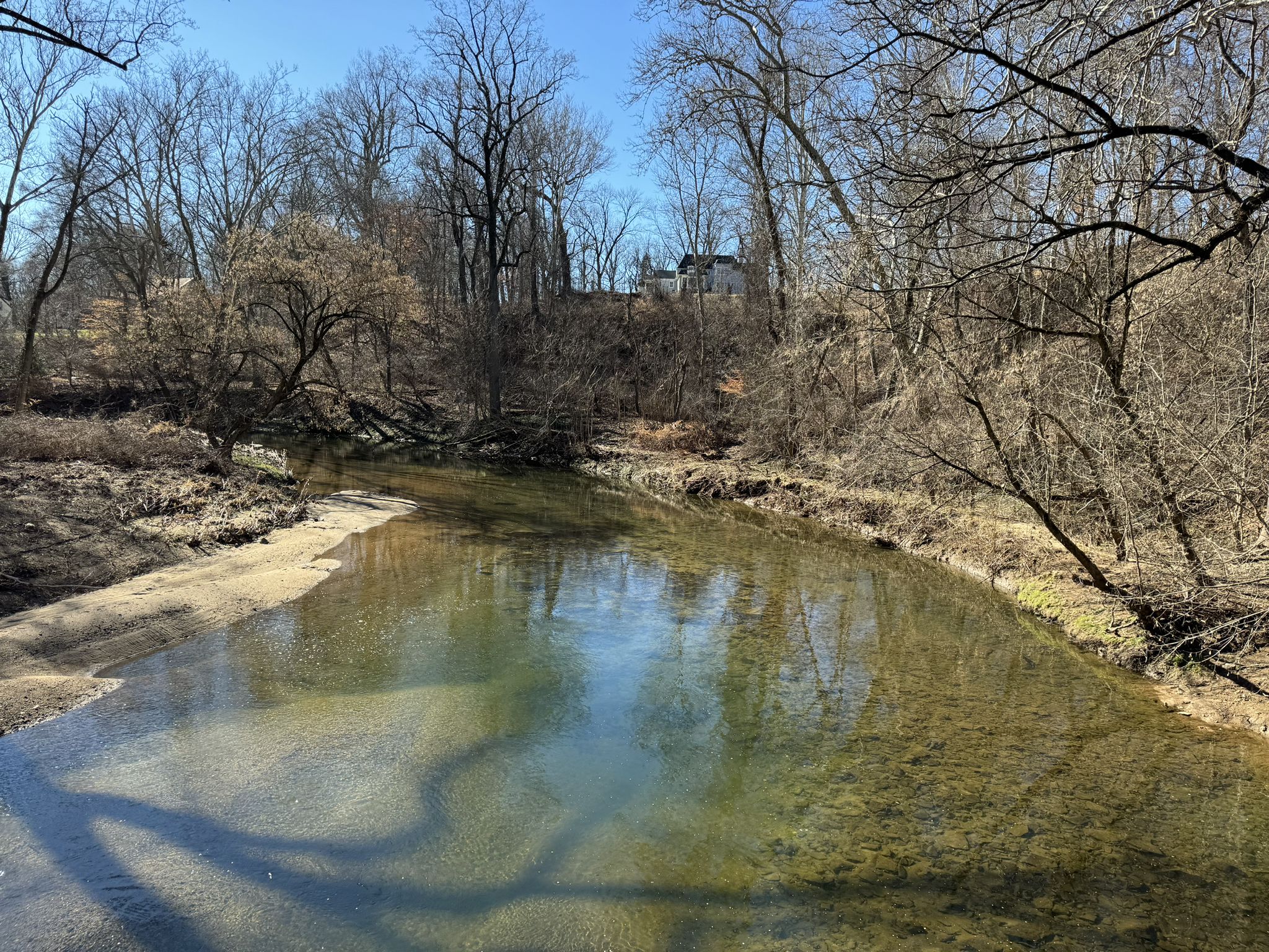 Calm stream flowing through a forest of bare trees on a sunny day. - Newtown Rail Trail – Knight’s Bridge loop from Upper Southampton Township