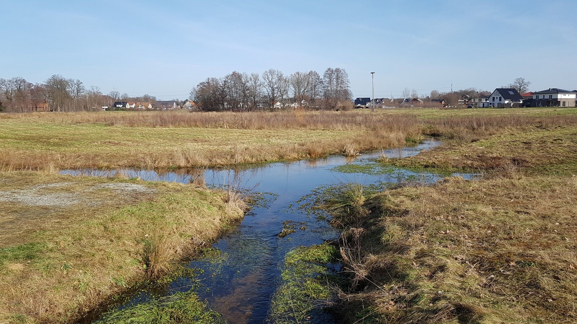 Storchenhorst im Rückhaltebecken Hövelhof