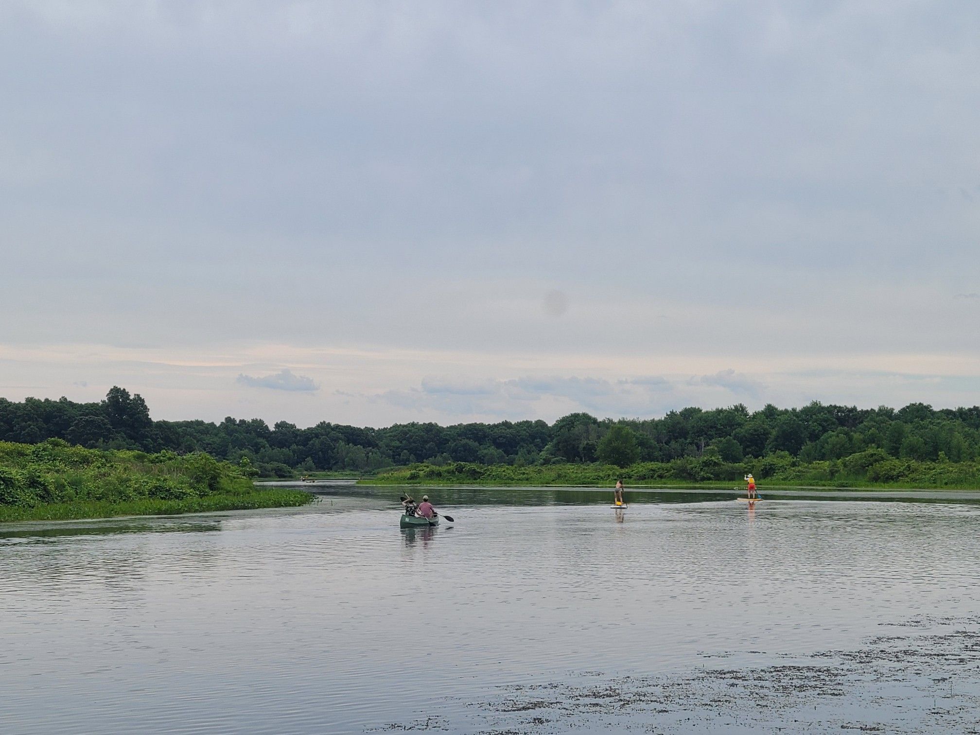 People canoeing and paddleboarding on a wide river under an overcast sky. - Blue Heron Trail