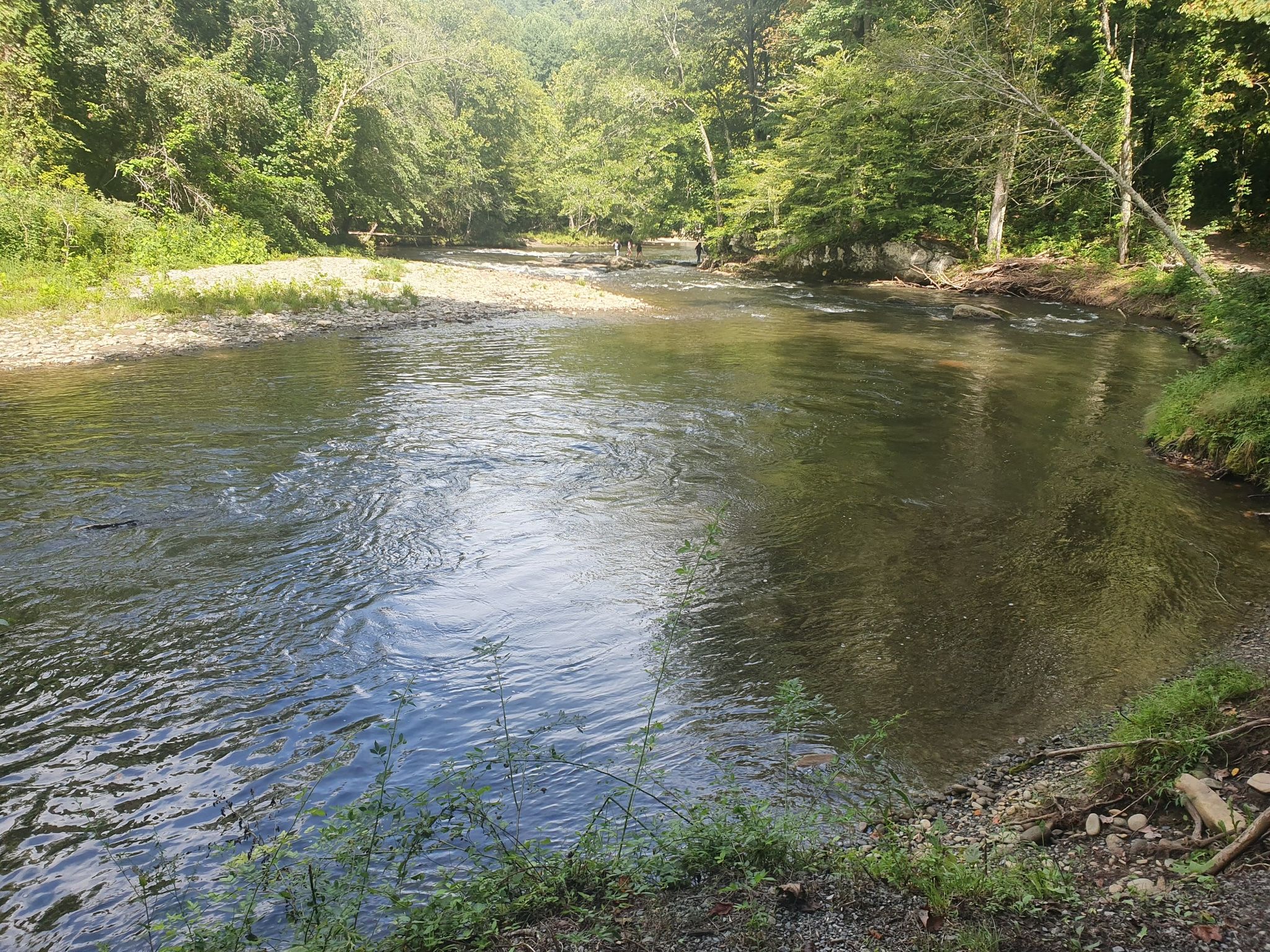 A wide river with reflections, surrounded by green trees and a gravel bank. - Oconaluftee River Trail