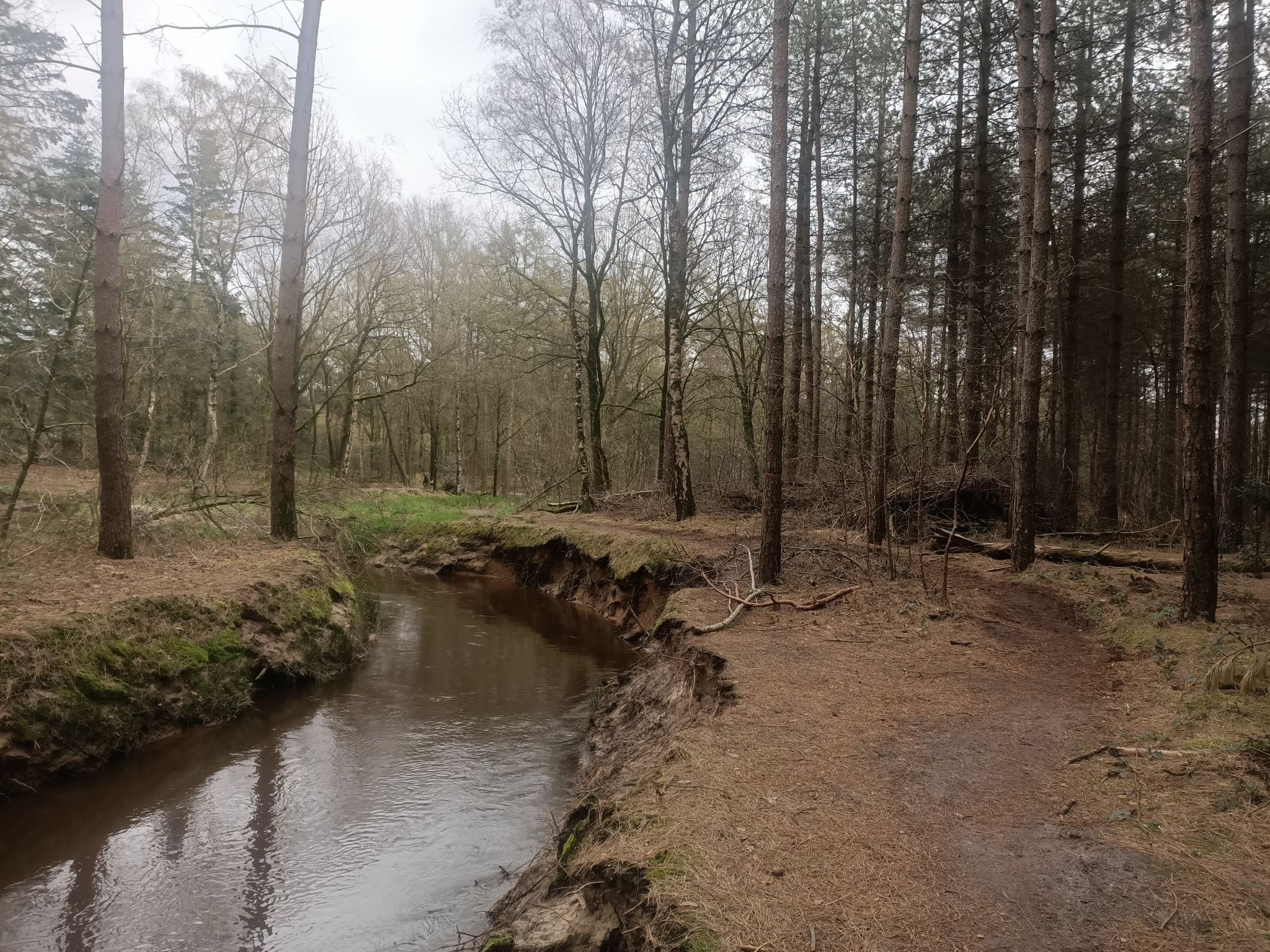 Pad langs de kleine Beerze (brug was afgesloten)