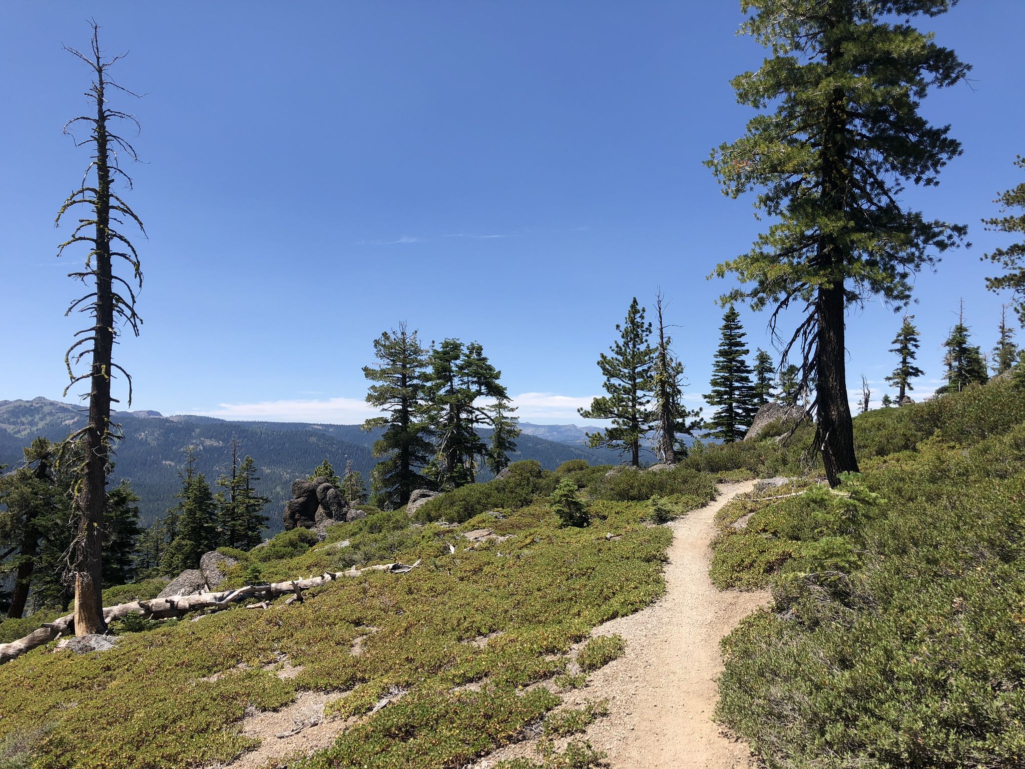 Dirt trail ascending a hill with sparse pine trees and distant mountains. - Painted Rock loop from Parking for sites 22 thru 28