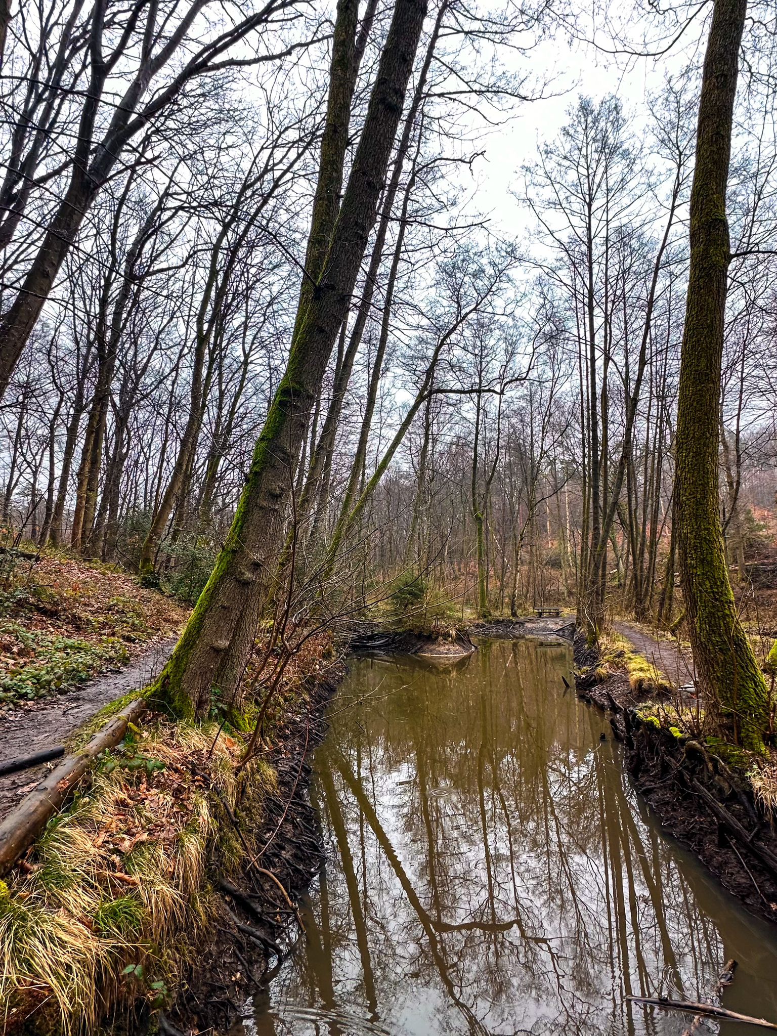 Borbach-Quellgebiet 💦