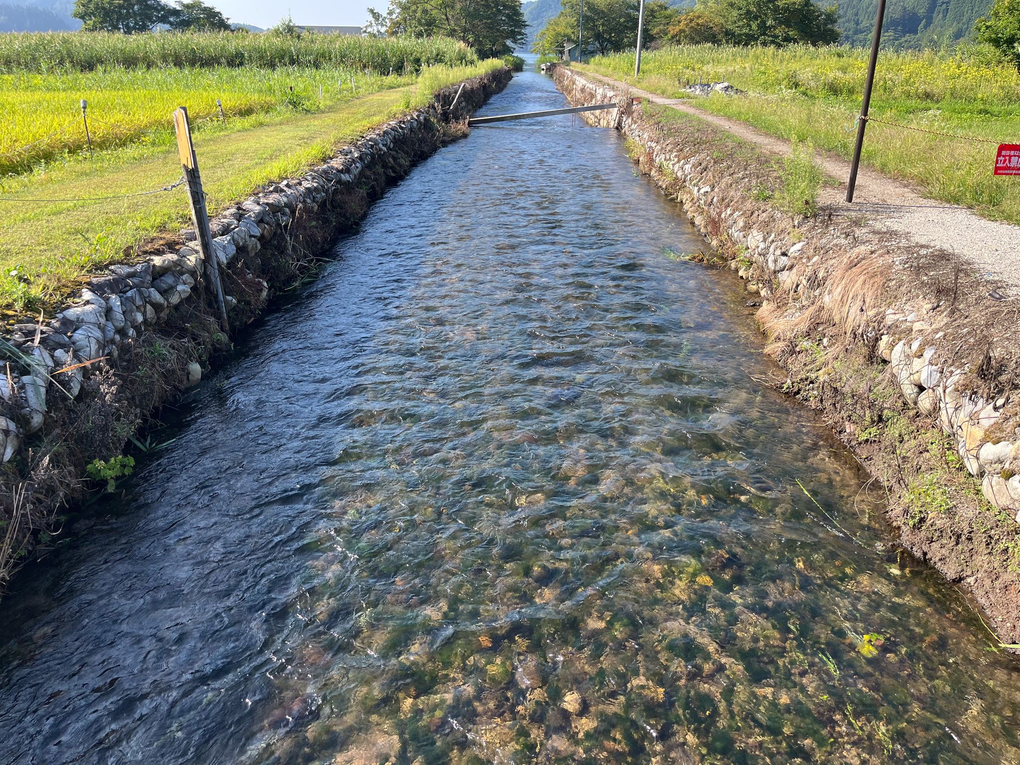 Clear stream flowing into Lake Kizaki